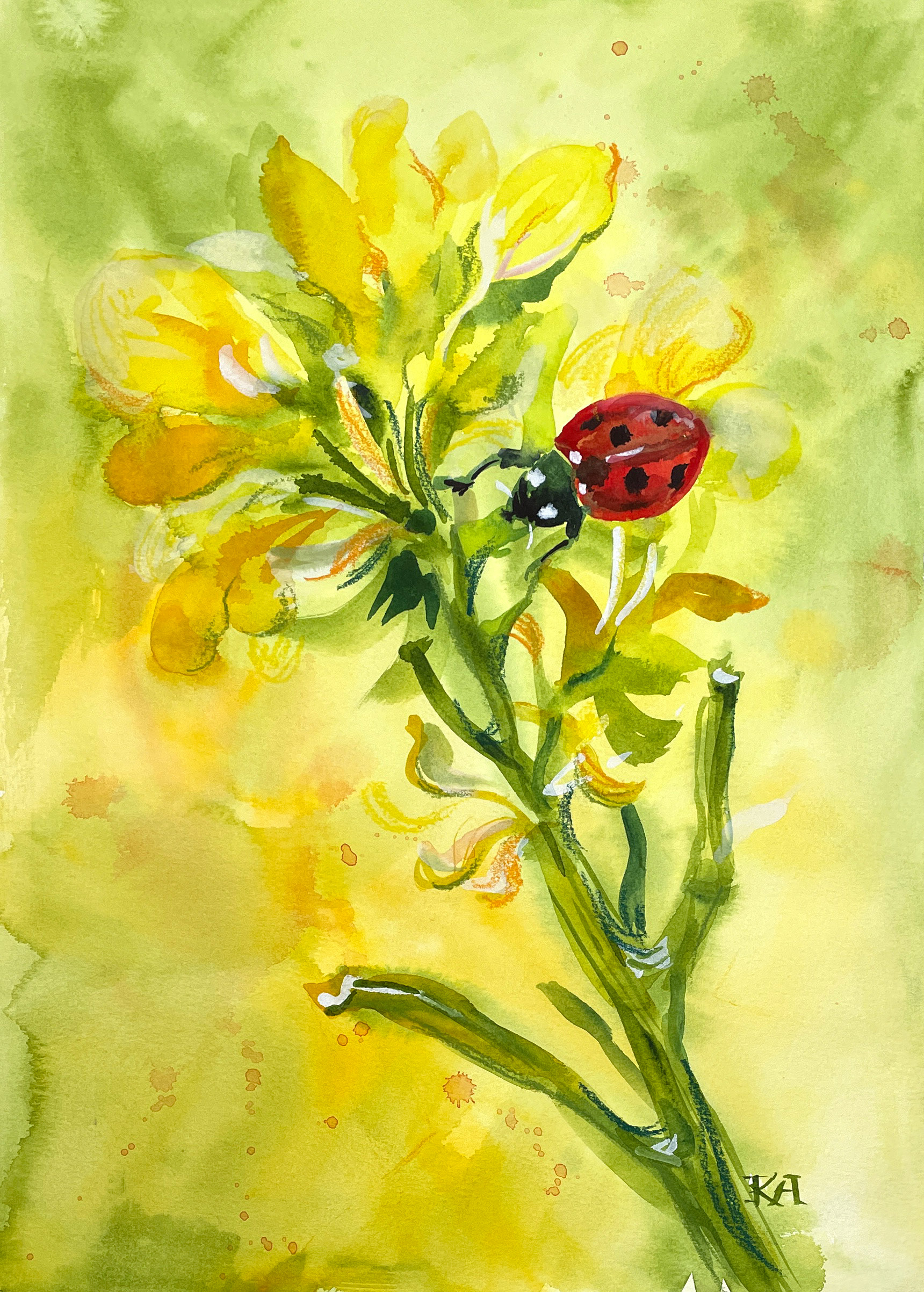Ladybug (light)