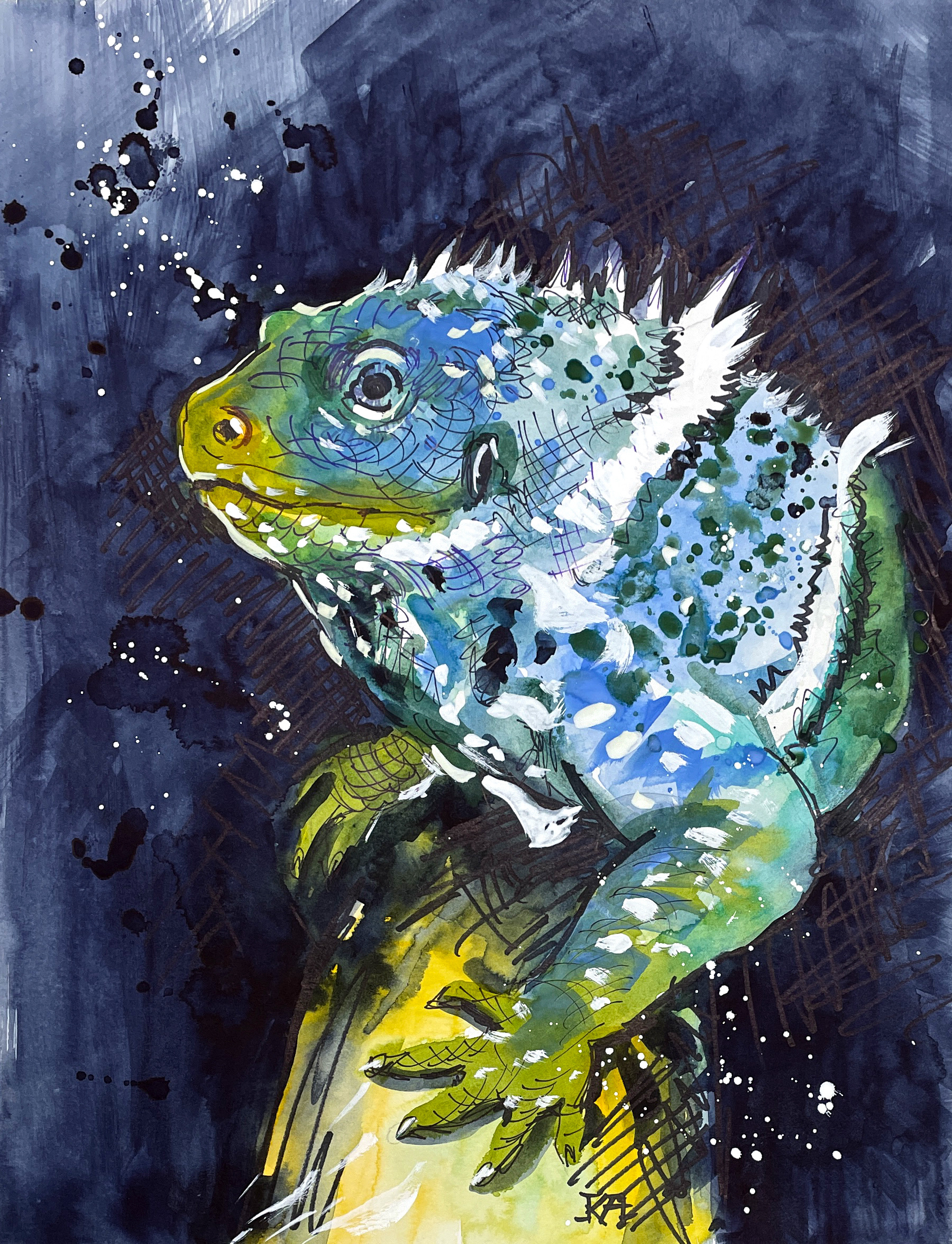 Iguana