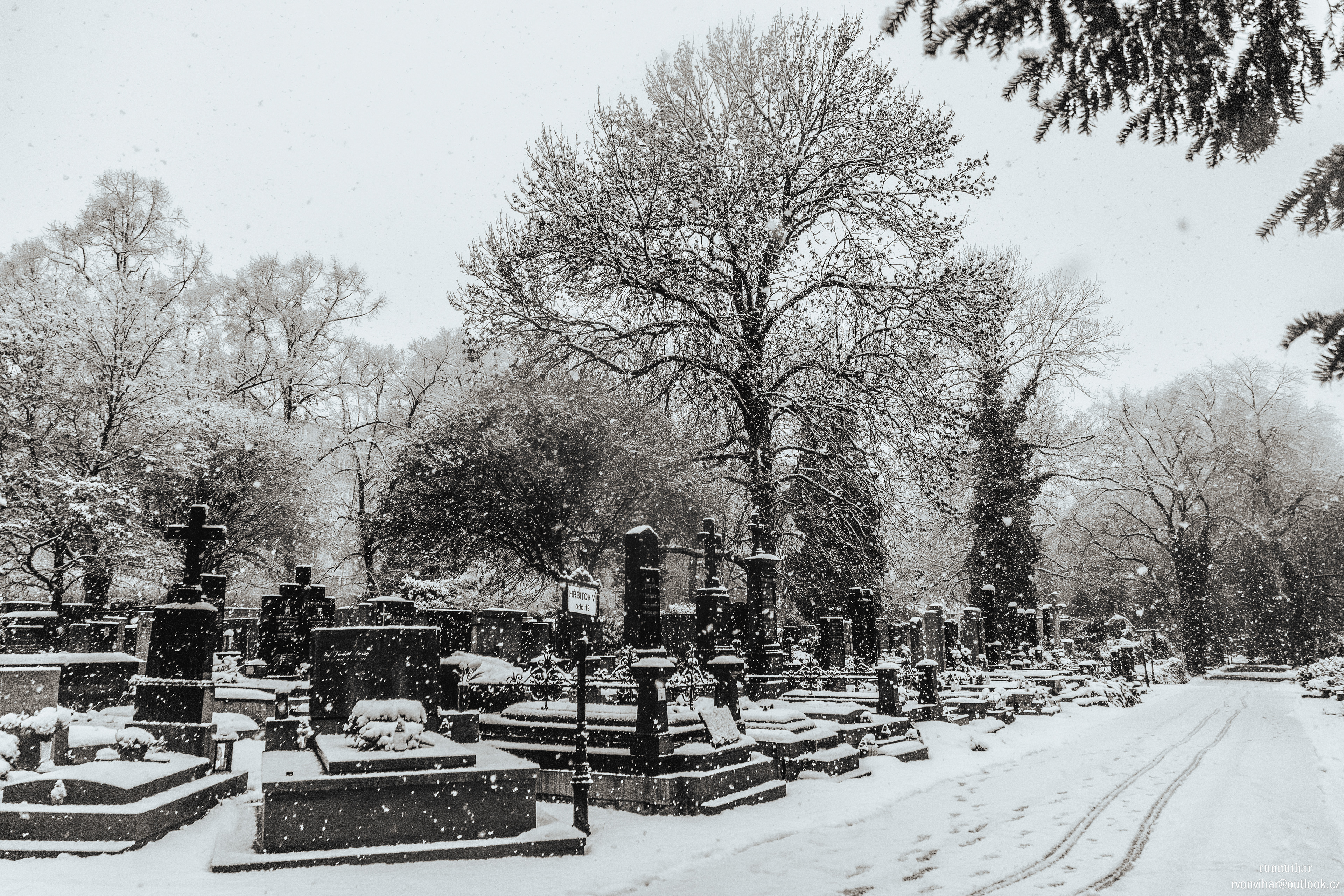 Olšanské hřbitovy (Olšany Cemetery, 26.11.25)