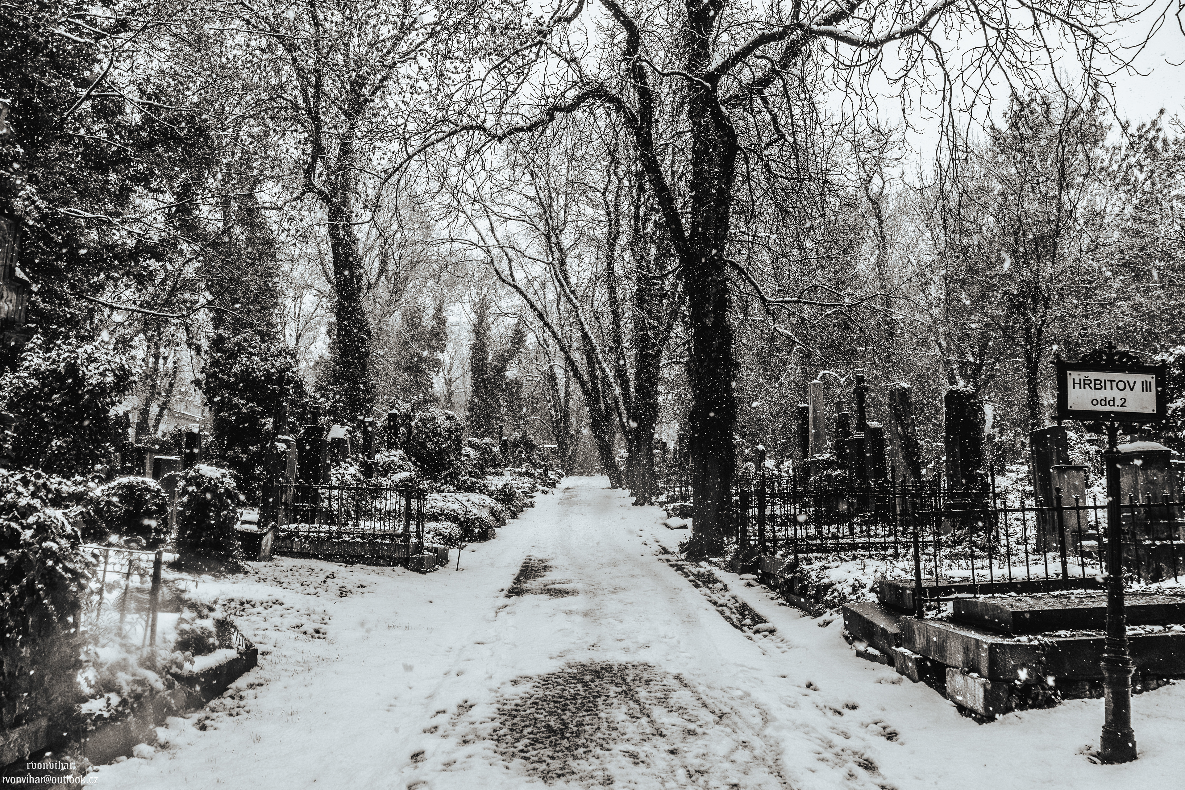 Olšanské hřbitovy (Olšany Cemetery, 26.11.25)
