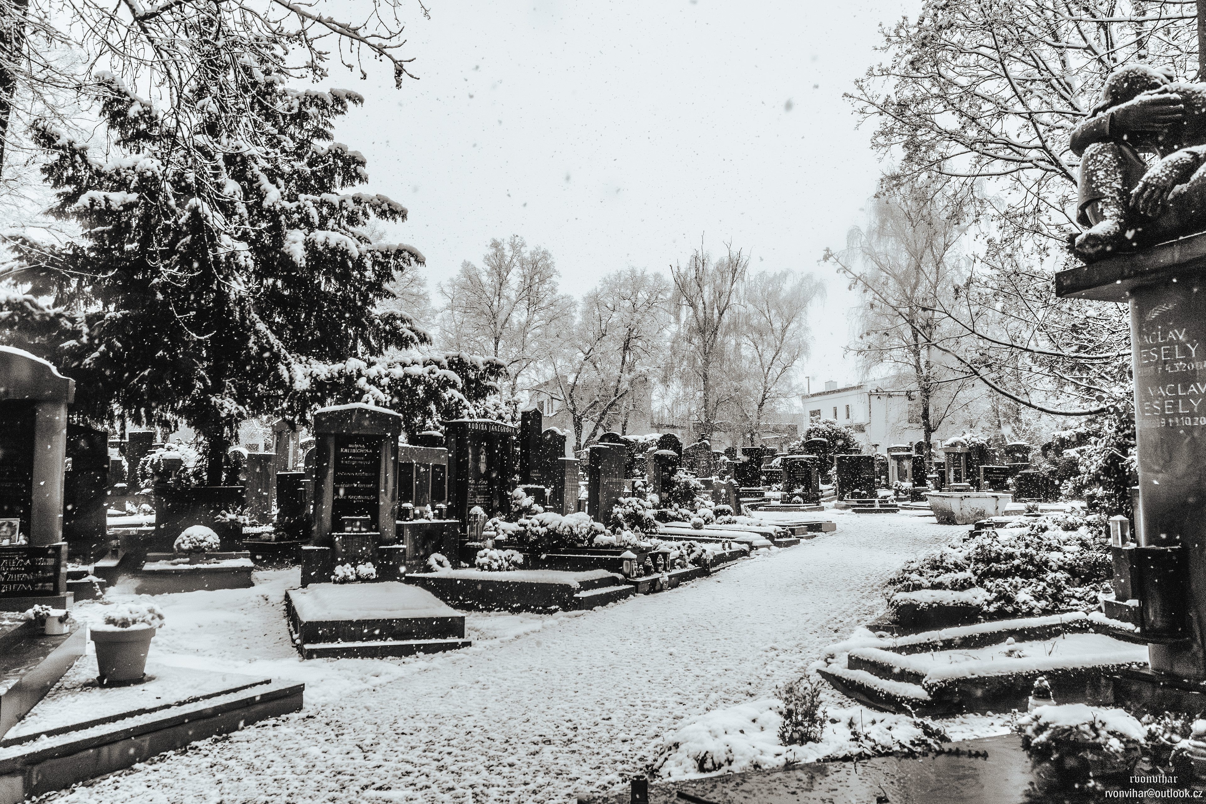Olšanské hřbitovy (Olšany Cemetery, 26.11.25)