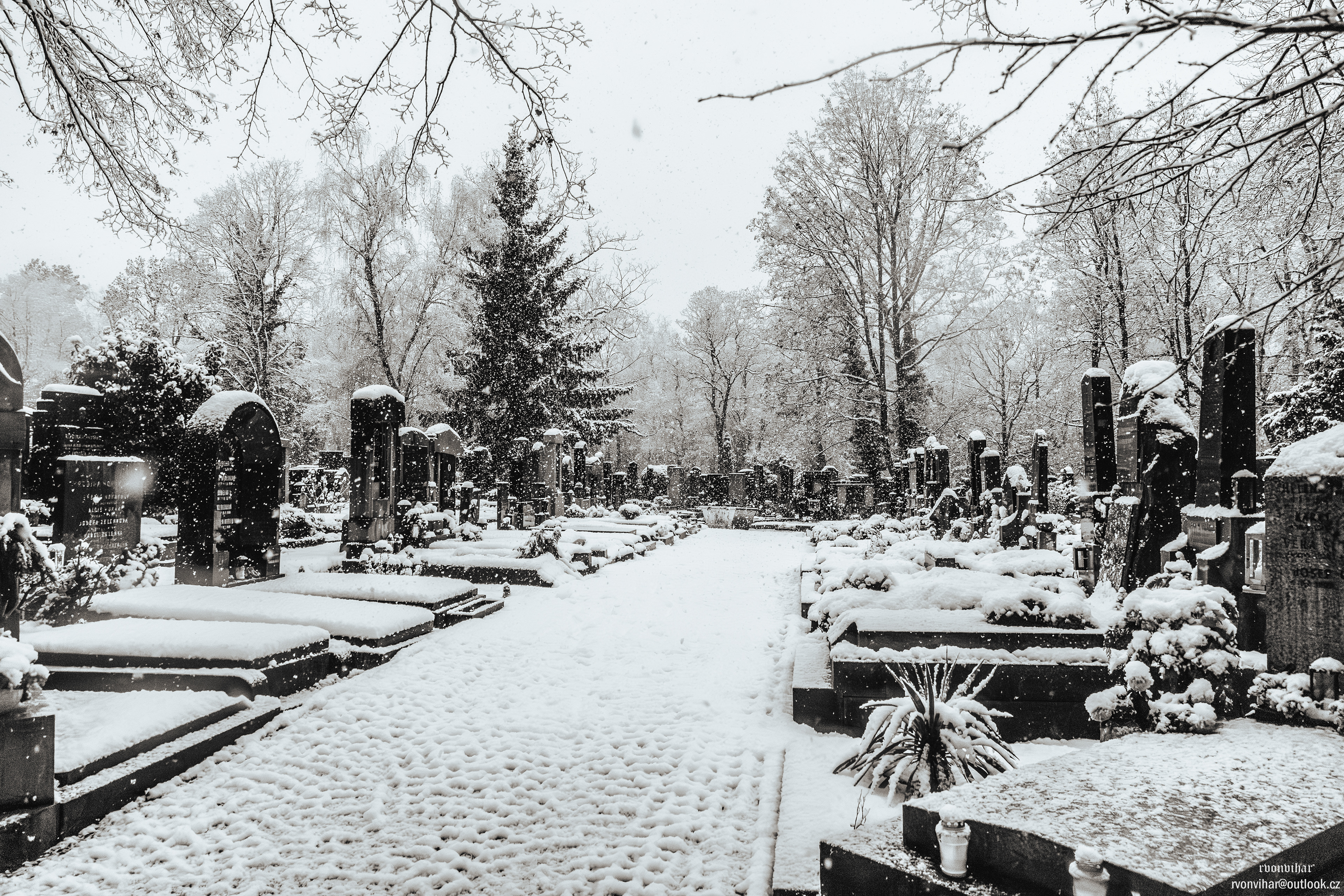 Olšanské hřbitovy (Olšany Cemetery, 26.11.25)