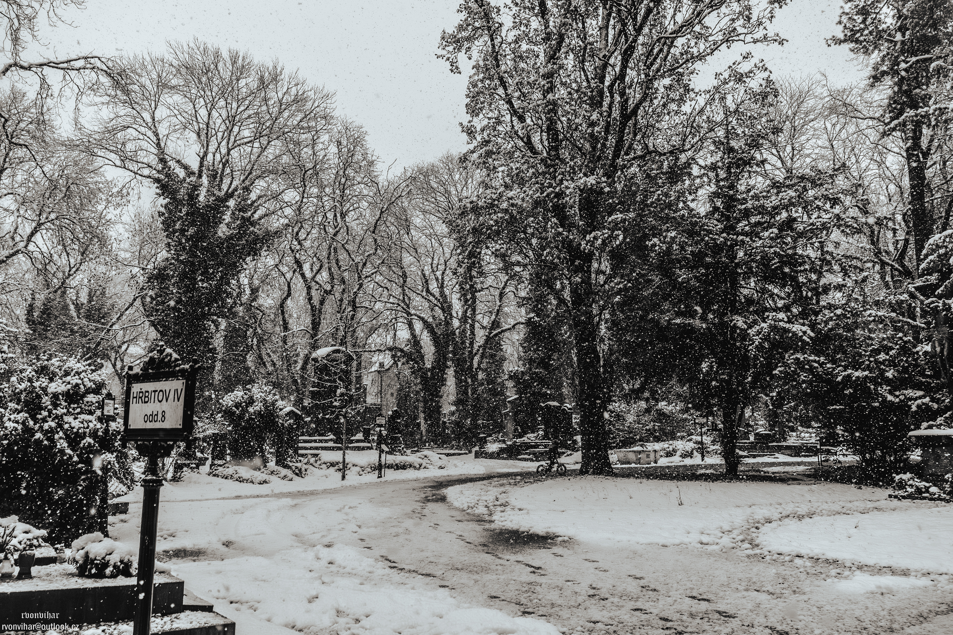 Olšanské hřbitovy (Olšany Cemetery, 26.11.25)