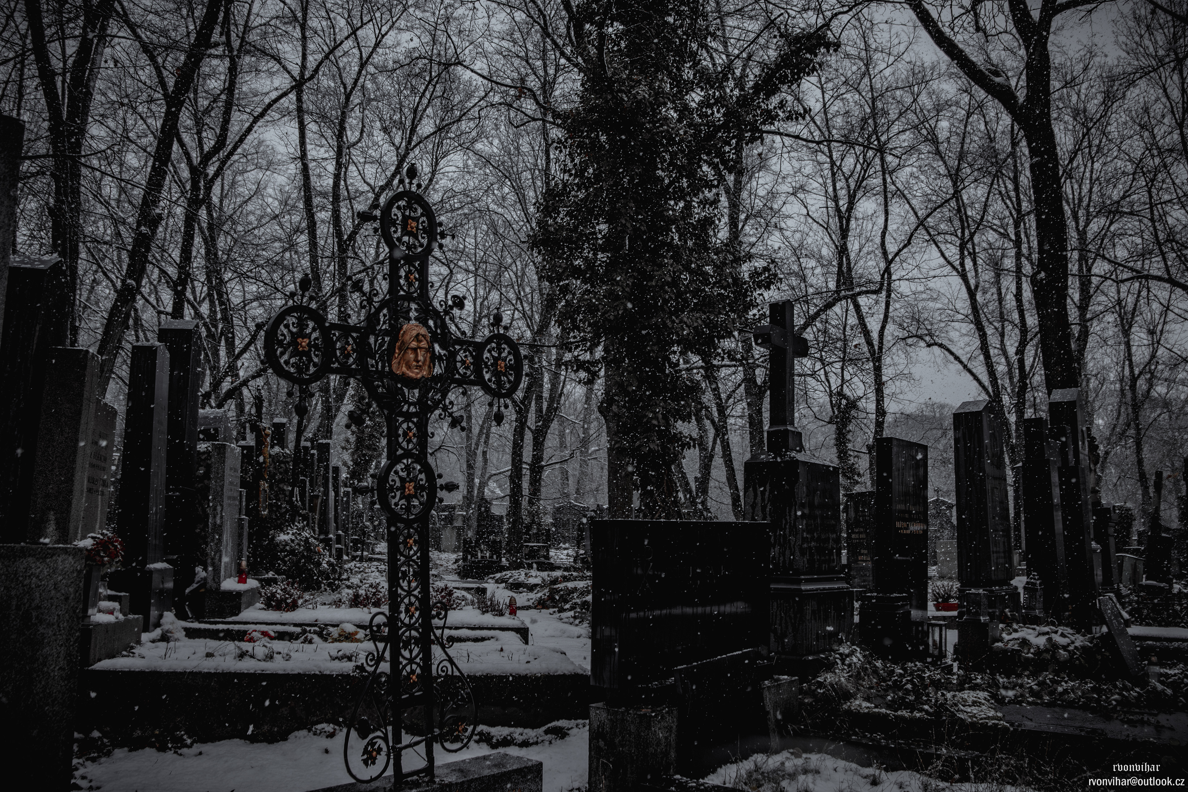 Olšanské hřbitovy (Olšany Cemetery, 26.11.25)