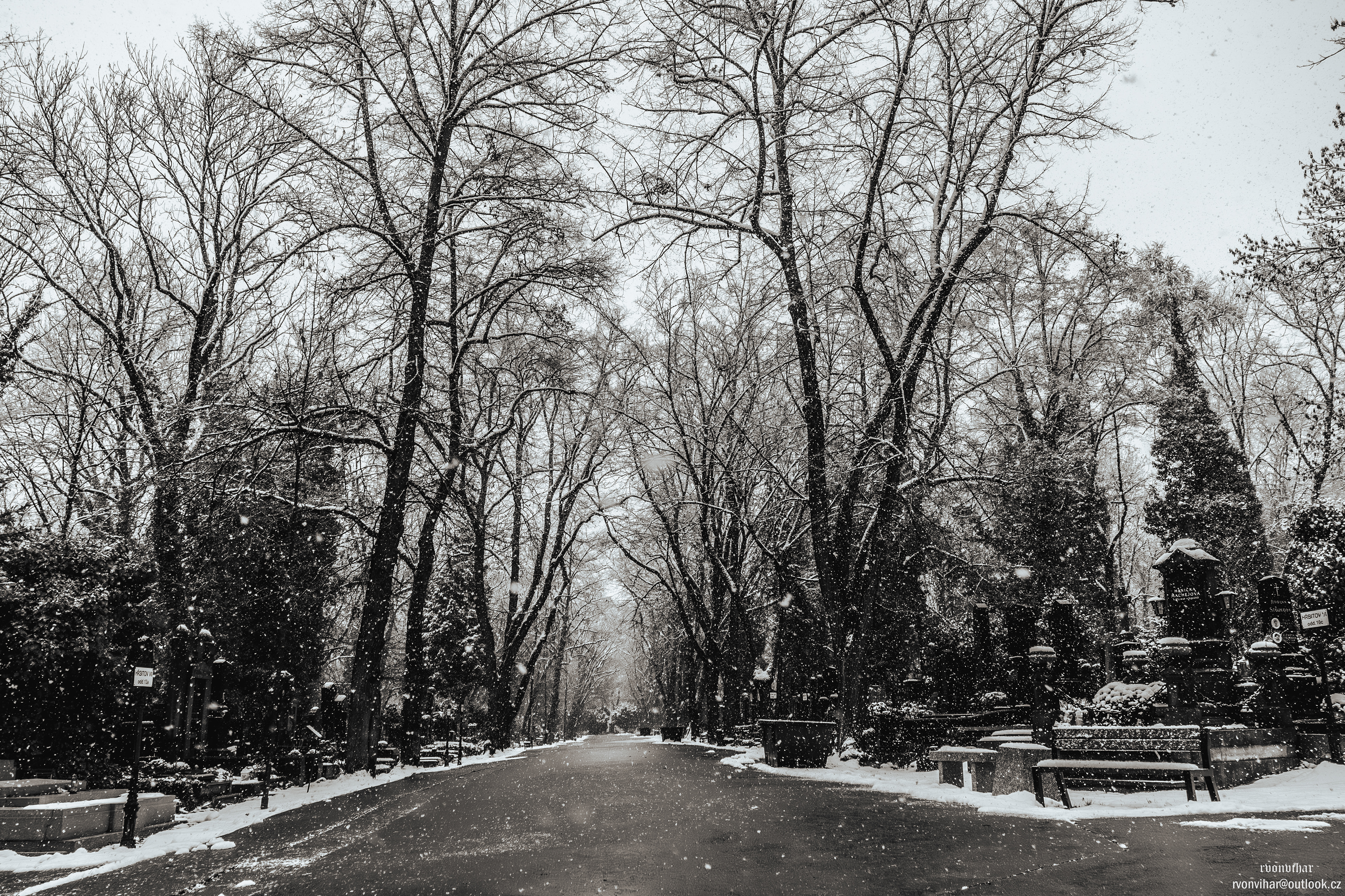 Olšanské hřbitovy (Olšany Cemetery, 26.11.25)