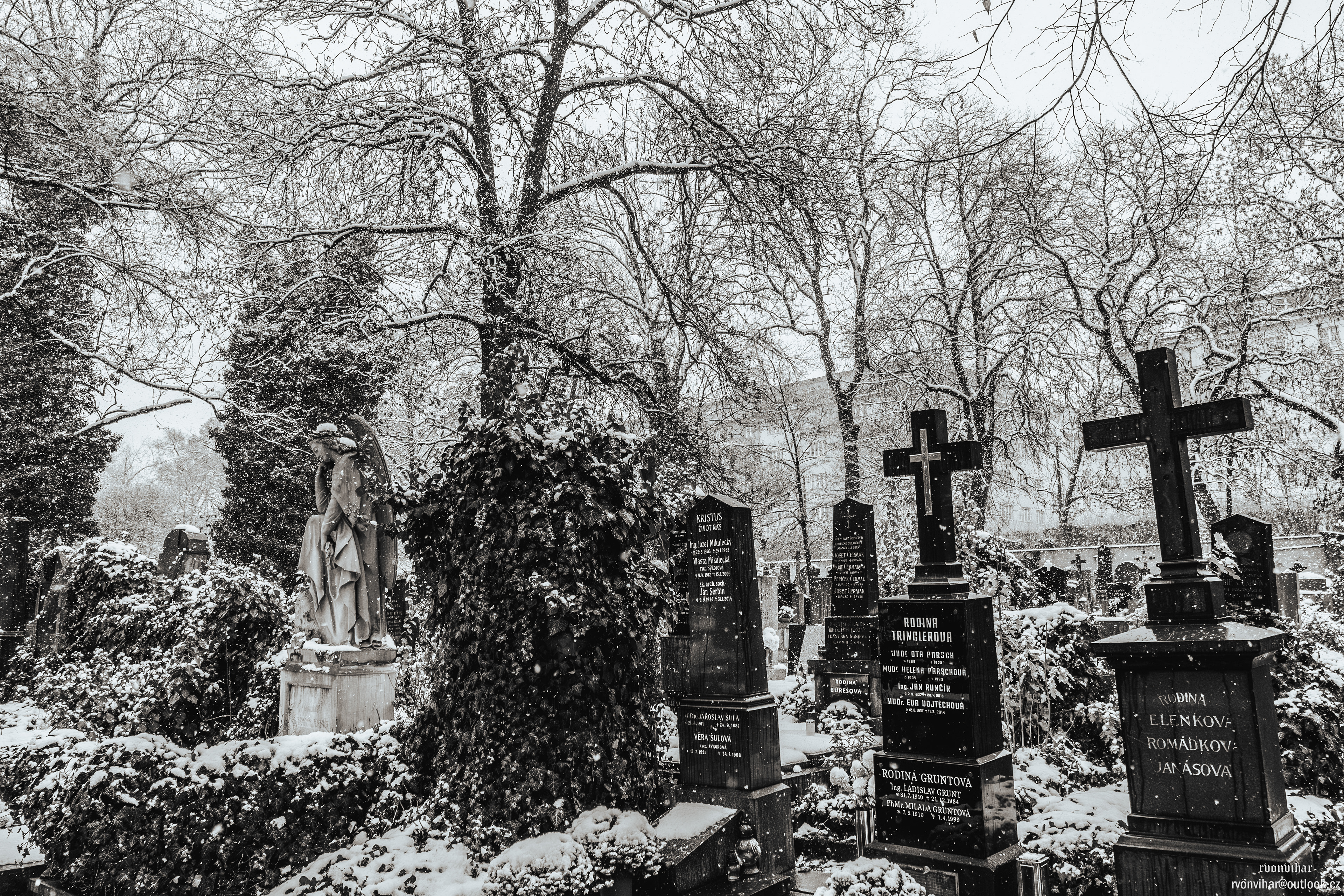 Olšanské hřbitovy (Olšany Cemetery, 26.11.25)