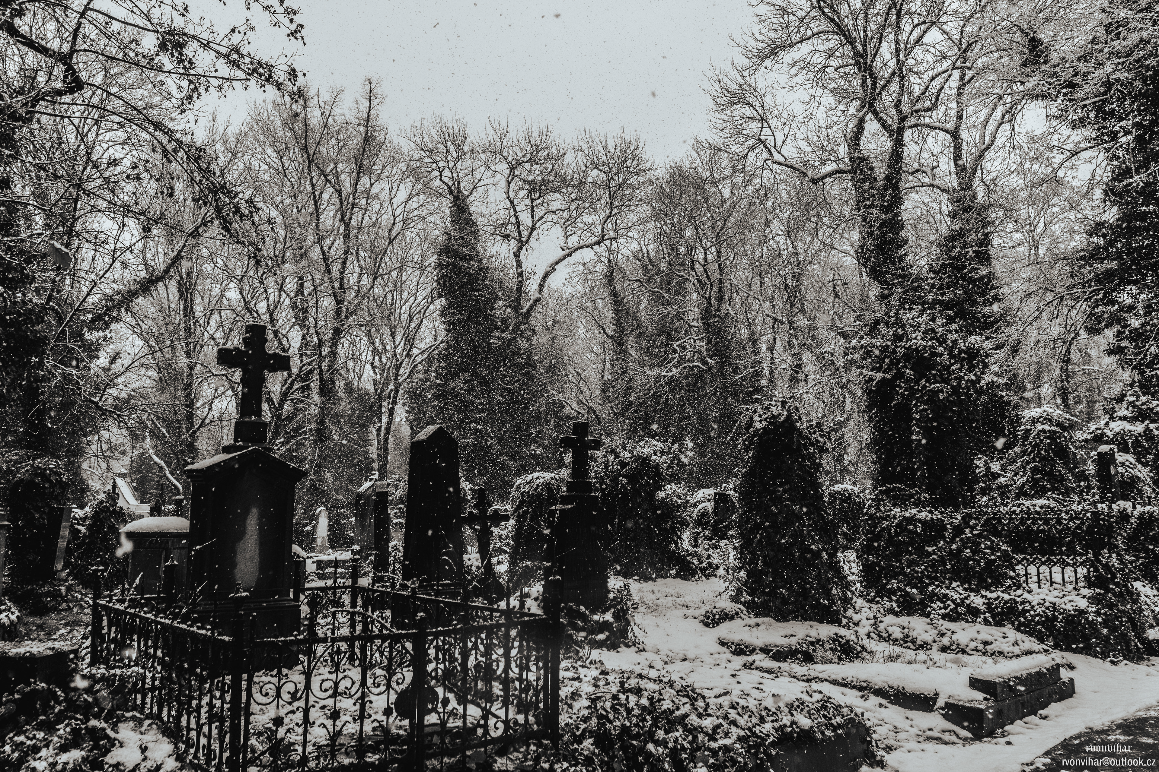 Olšanské hřbitovy (Olšany Cemetery, 26.11.25)