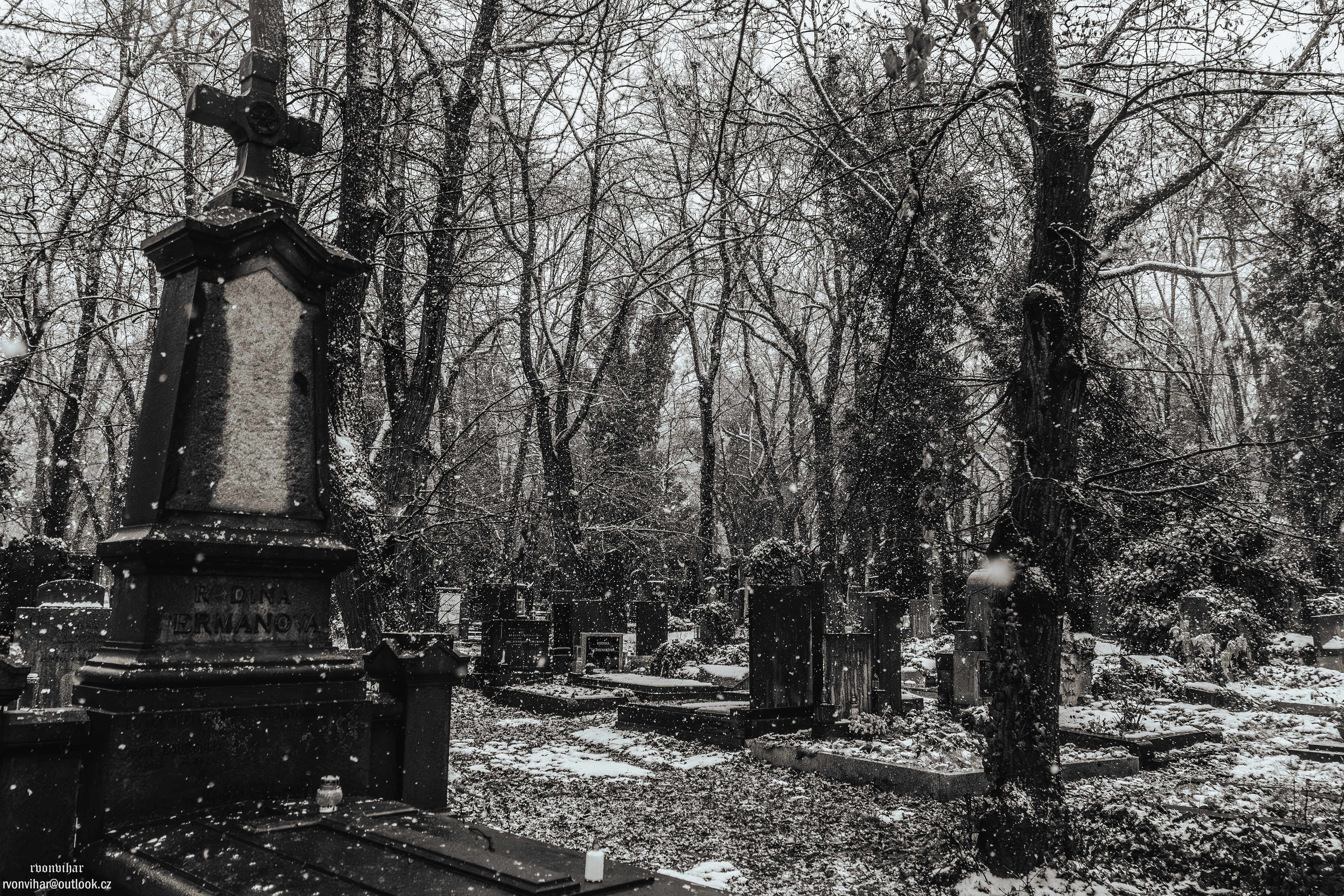 Olšanské hřbitovy (Olšany Cemetery, 26.11.25)
