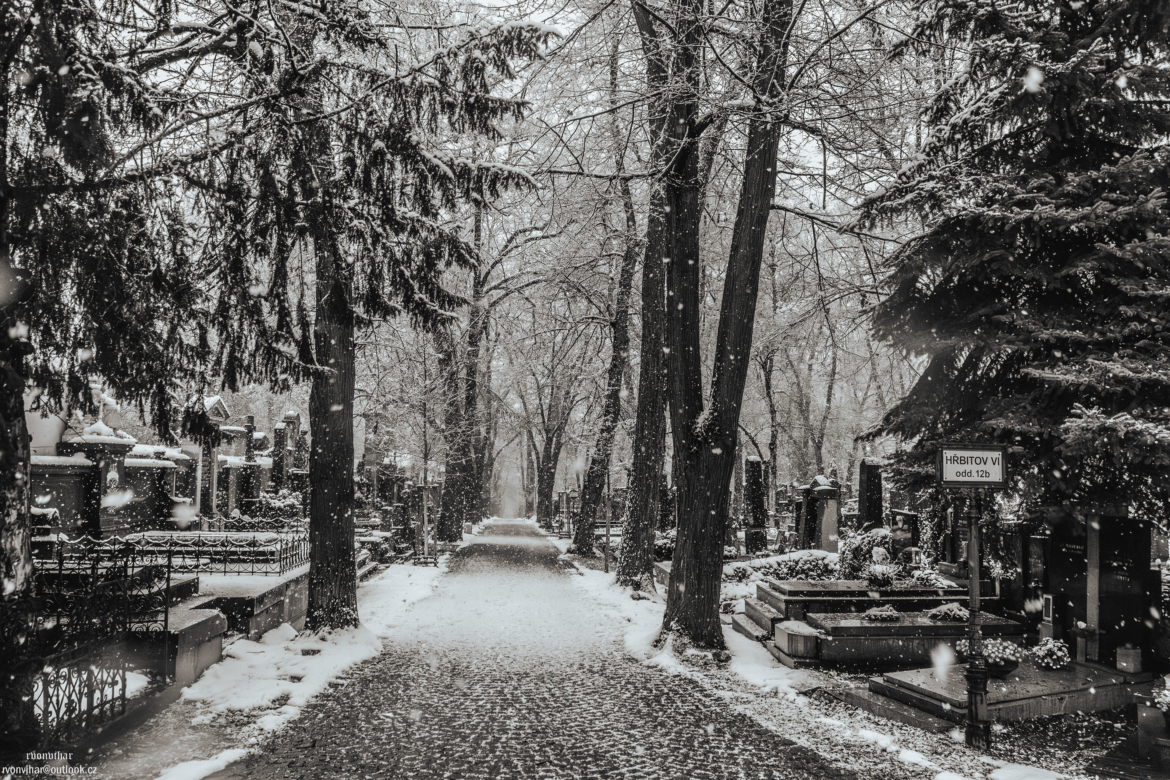 Olšanské hřbitovy (Olšany Cemetery, 26.11.25)