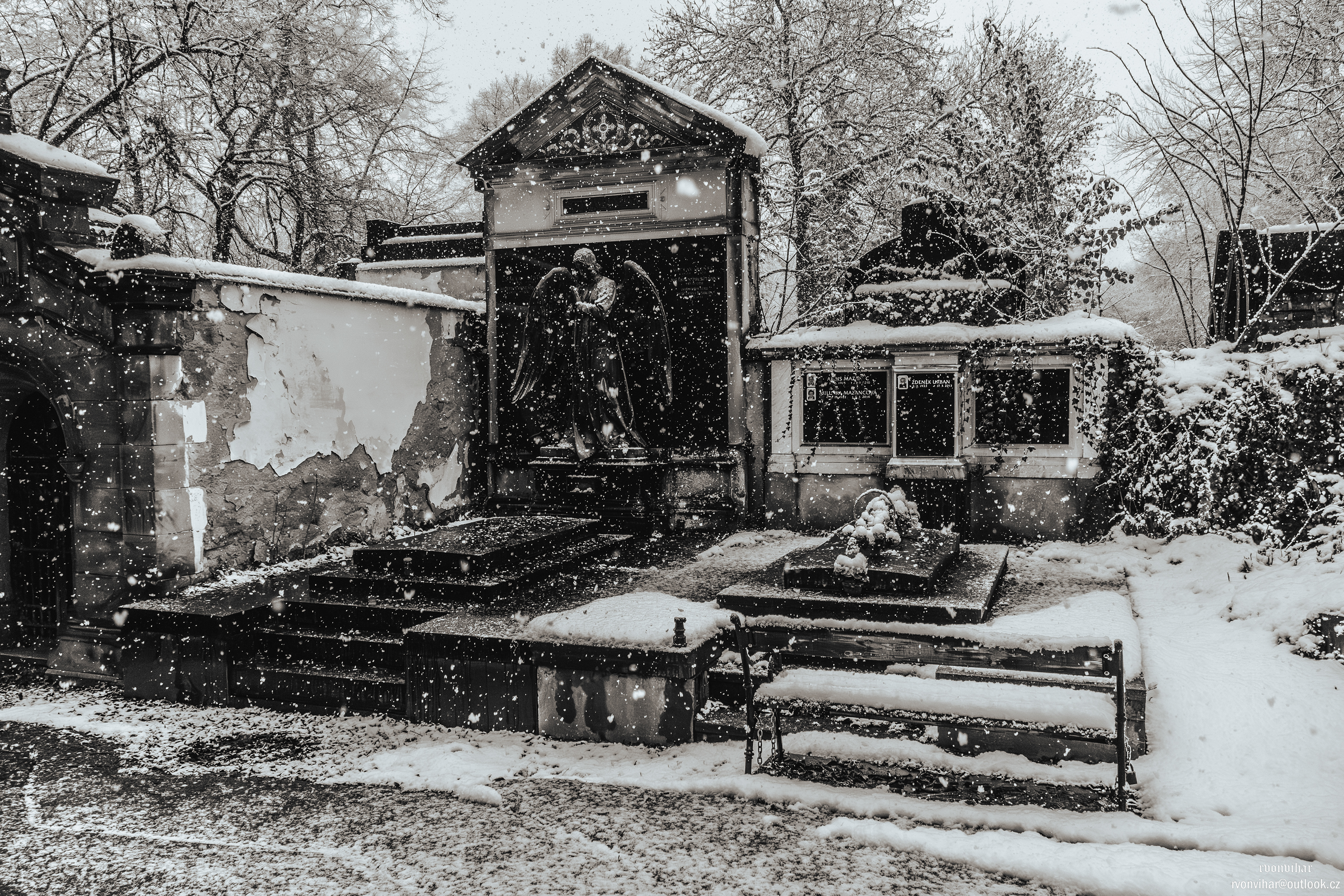 Olšanské hřbitovy (Olšany Cemetery, 26.11.25)