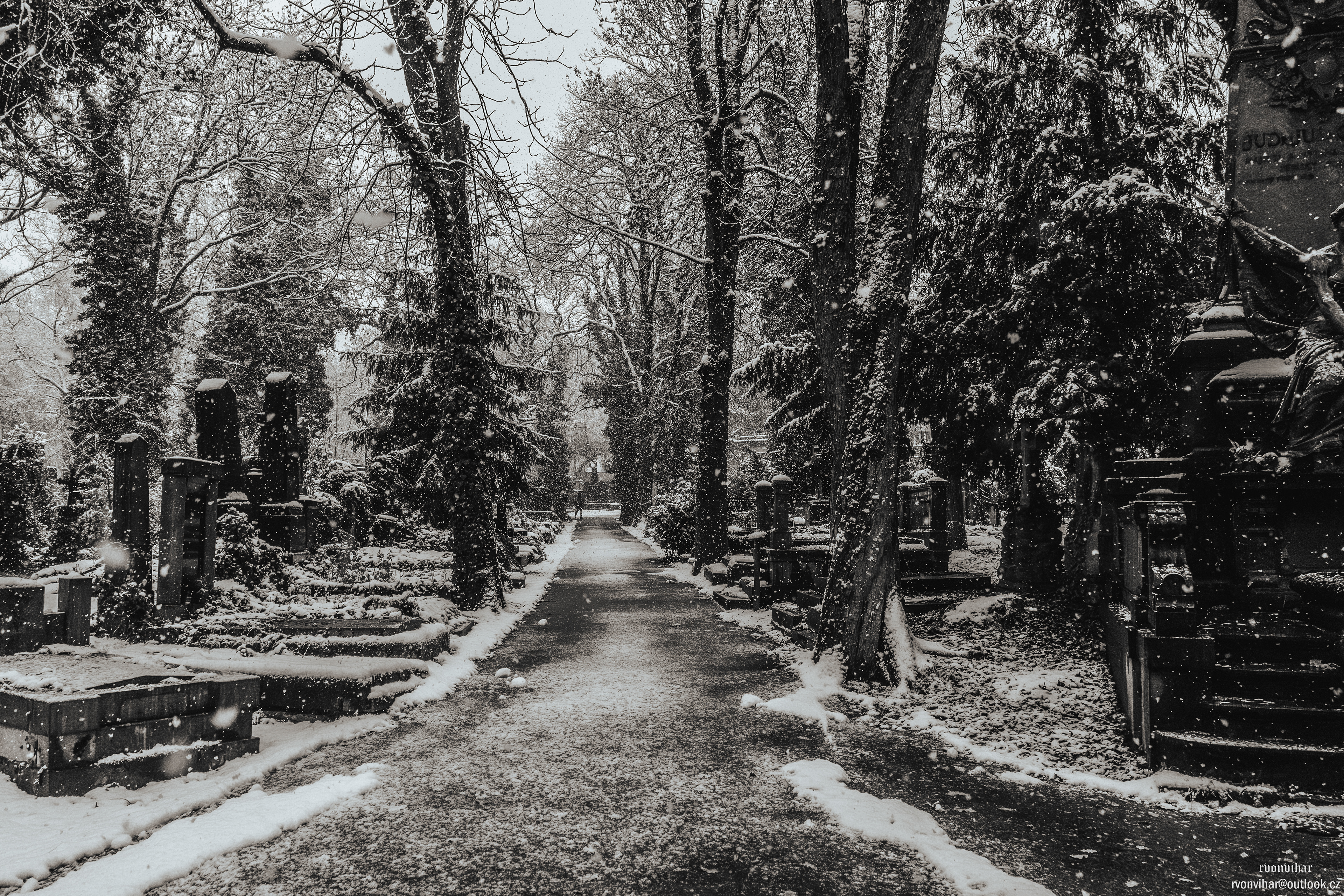 Olšanské hřbitovy (Olšany Cemetery, 26.11.25)