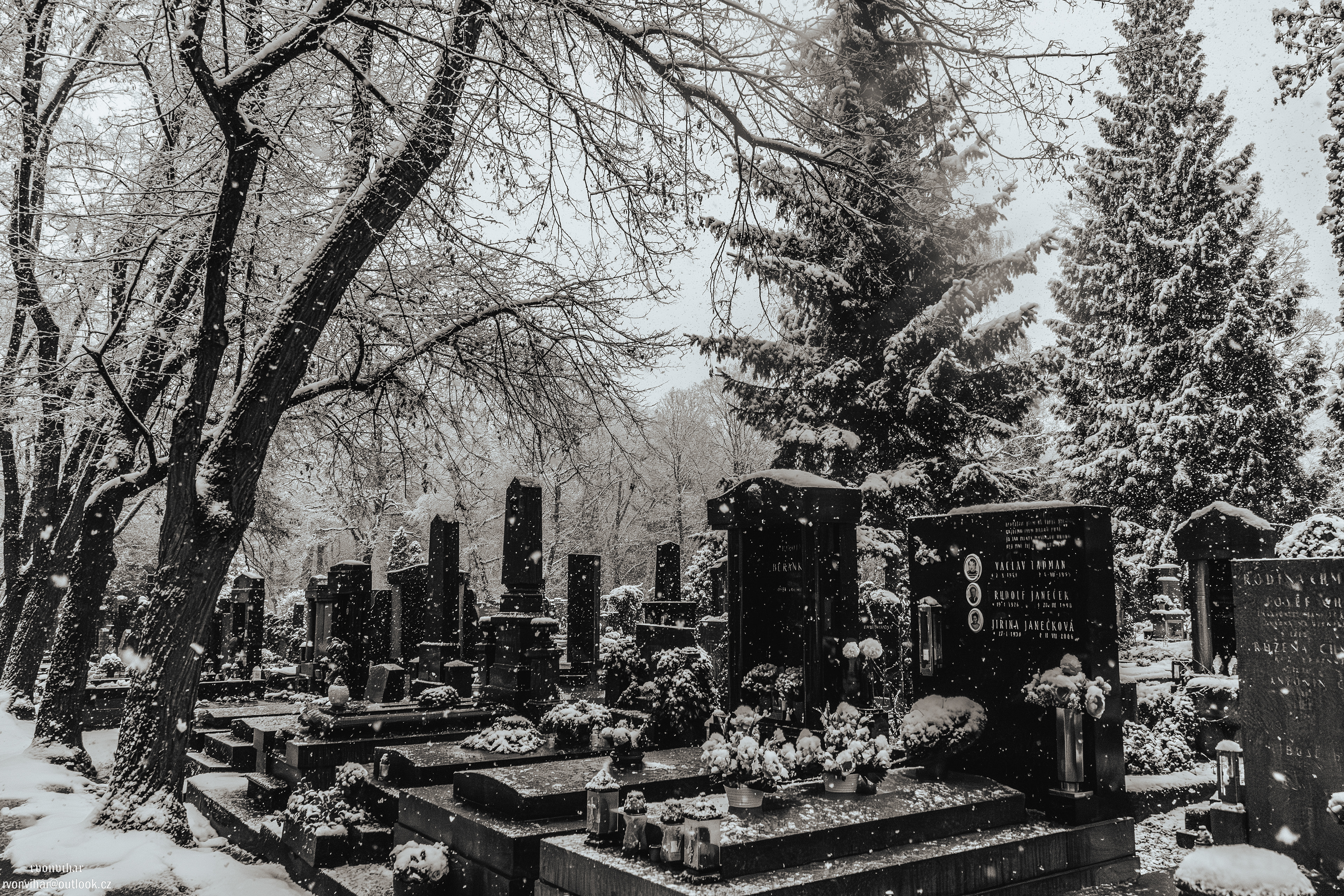 Olšanské hřbitovy (Olšany Cemetery, 26.11.25)