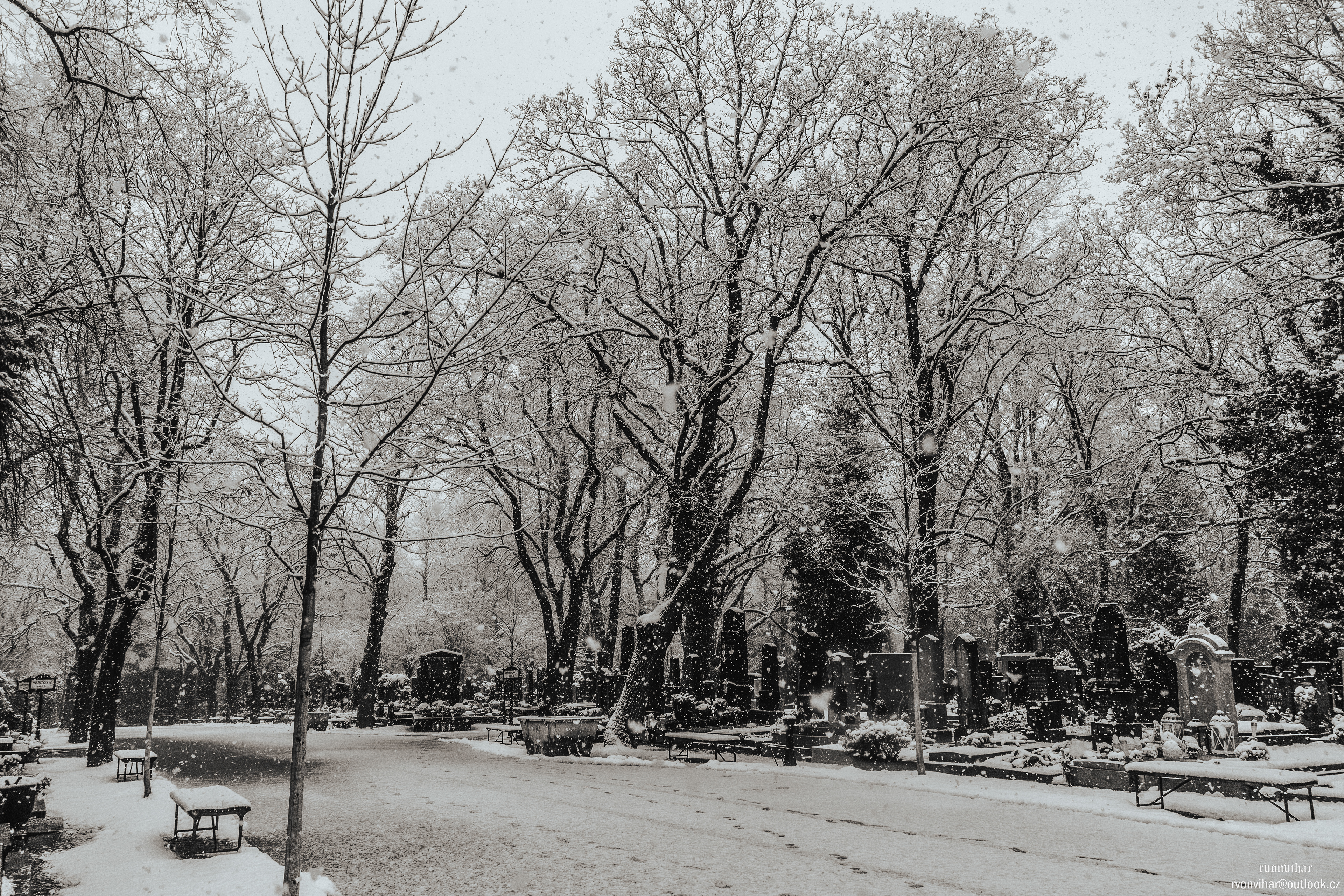 Olšanské hřbitovy (Olšany Cemetery, 26.11.25)