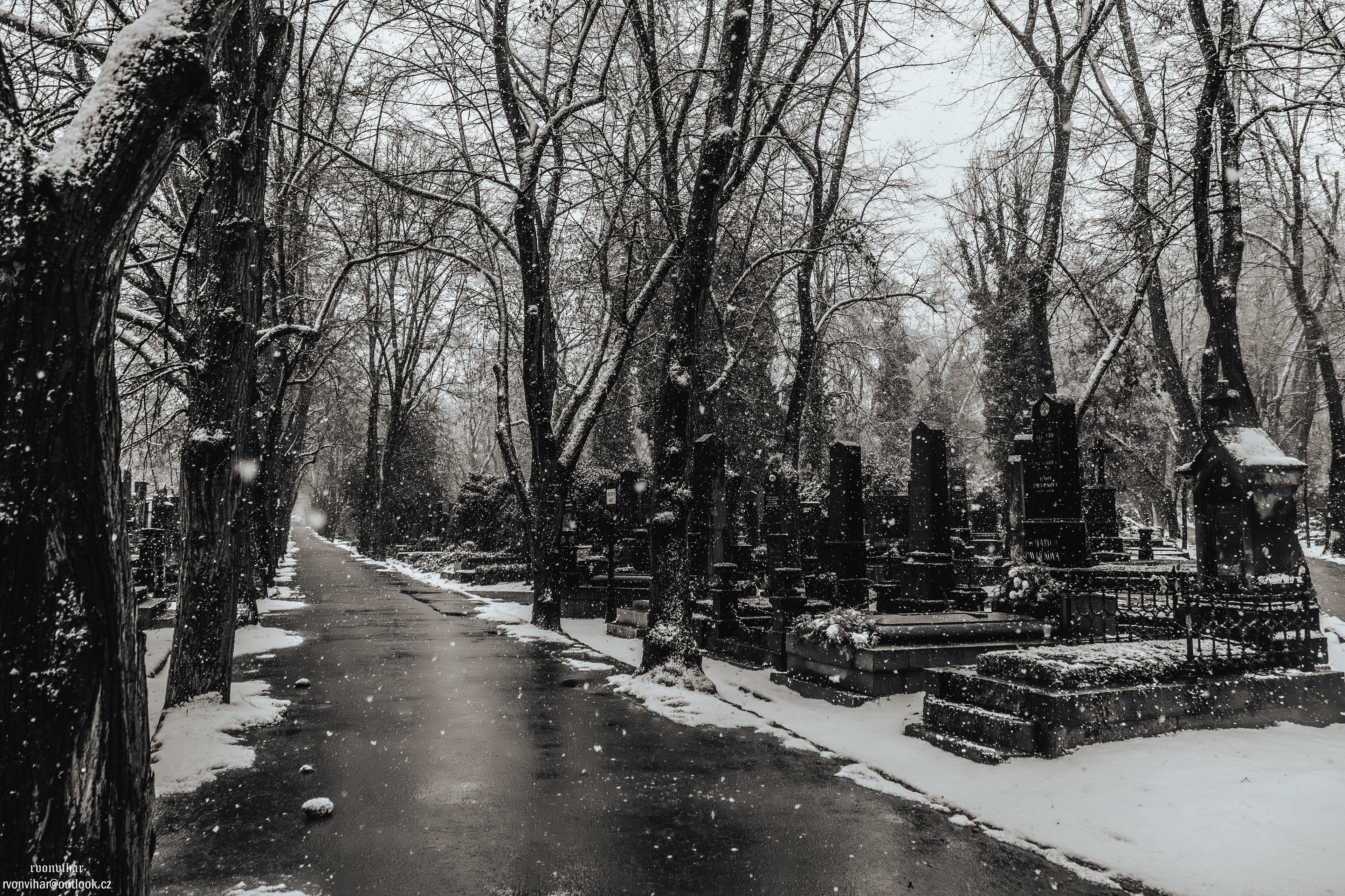 Olšanské hřbitovy (Olšany Cemetery, 26.11.25)