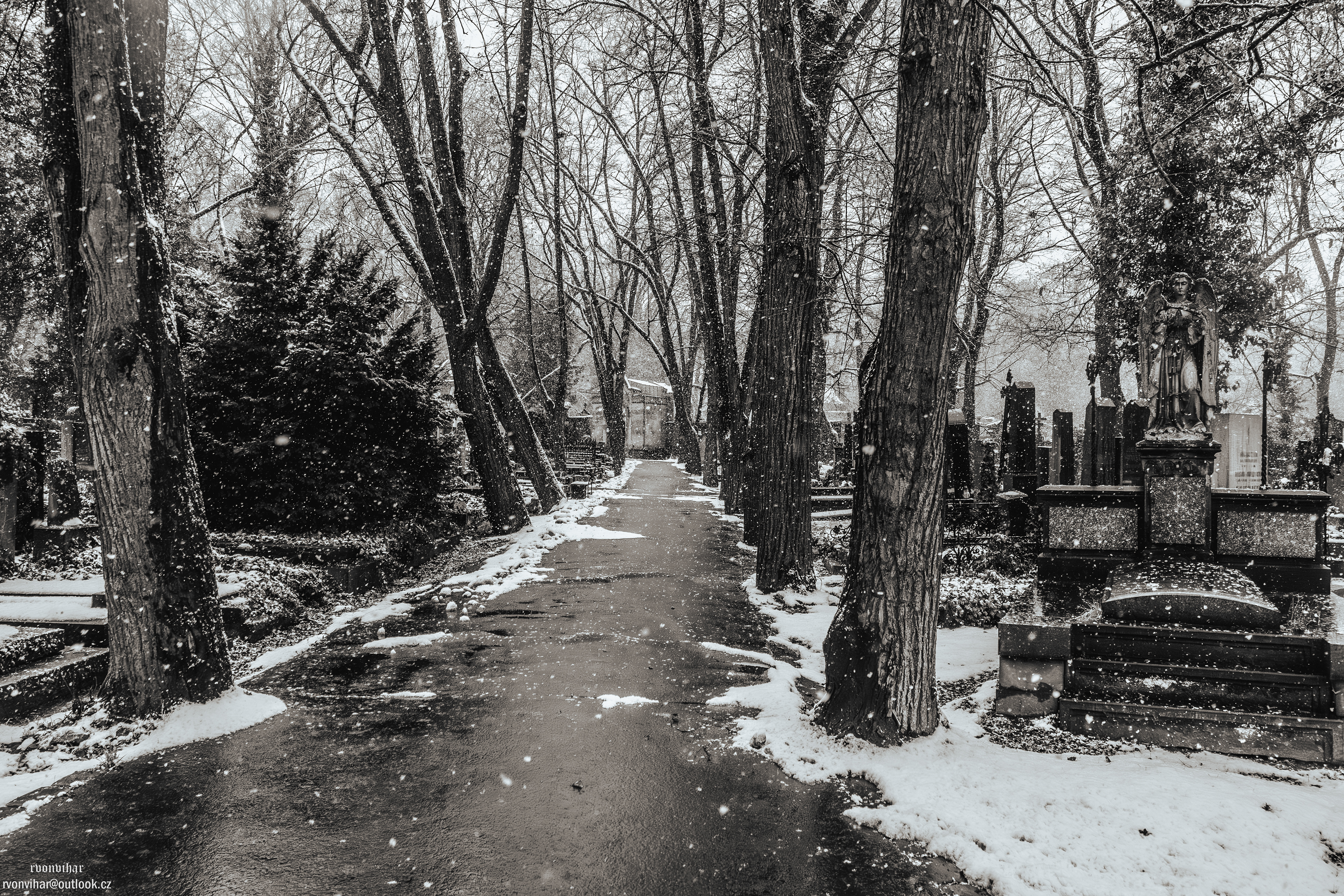 Olšanské hřbitovy (Olšany Cemetery, 26.11.25)