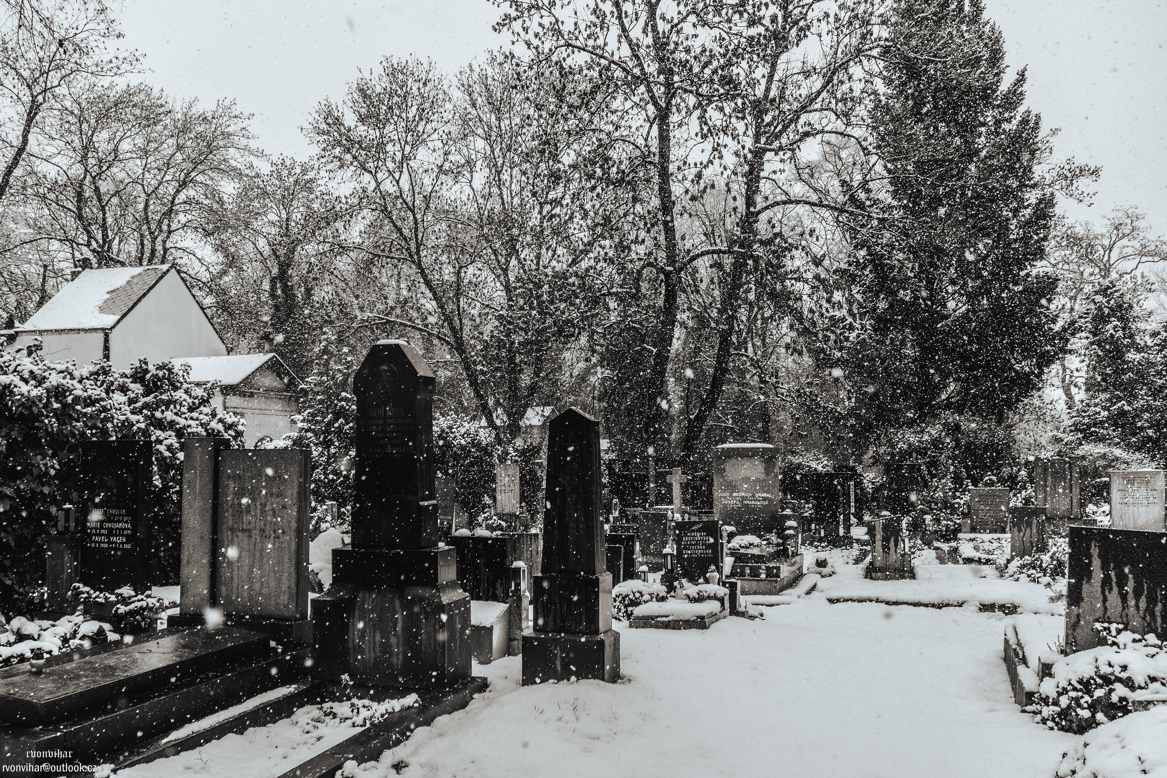 Olšanské hřbitovy (Olšany Cemetery, 26.11.25)