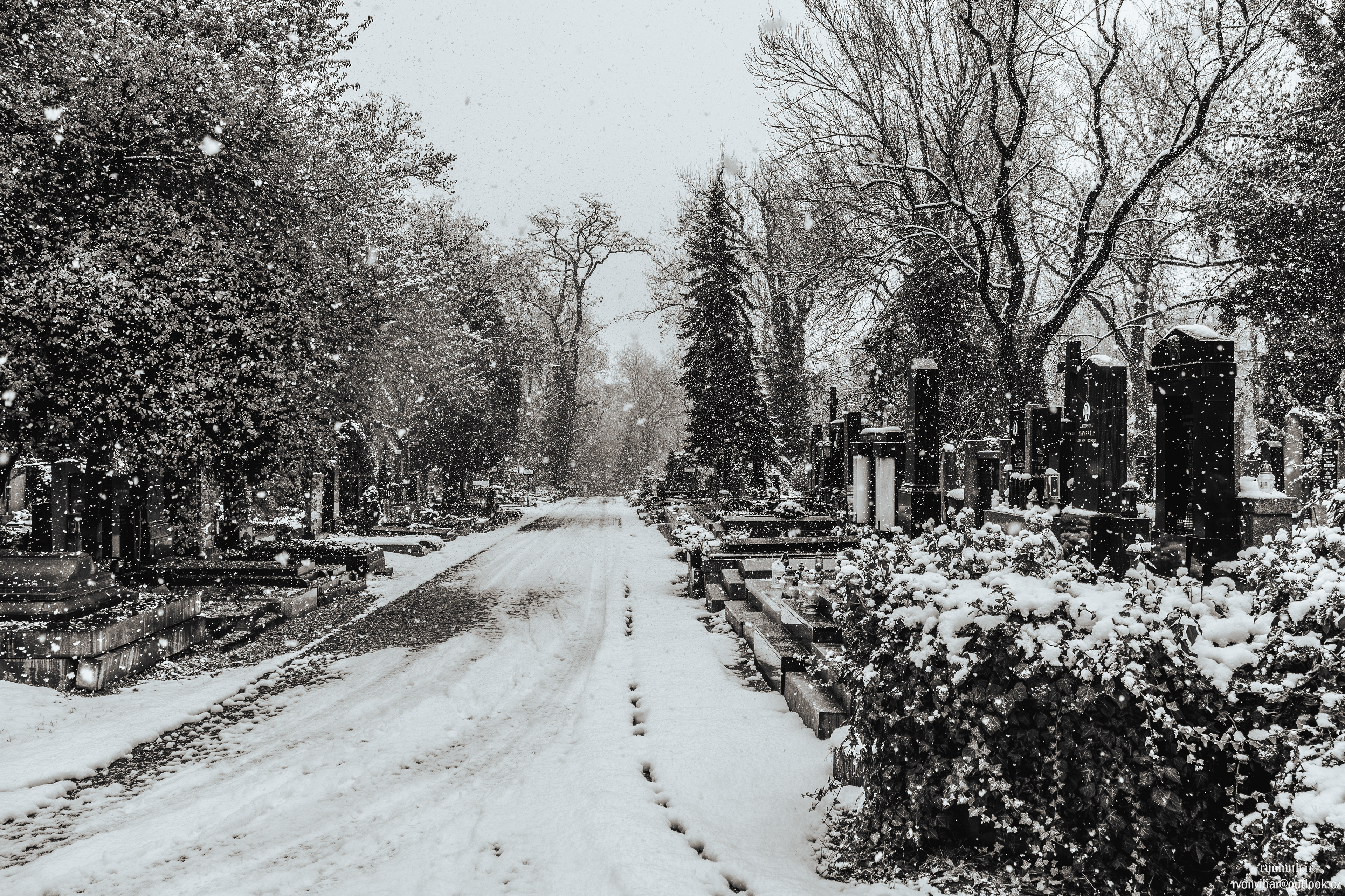 Olšanské hřbitovy (Olšany Cemetery, 26.11.25)