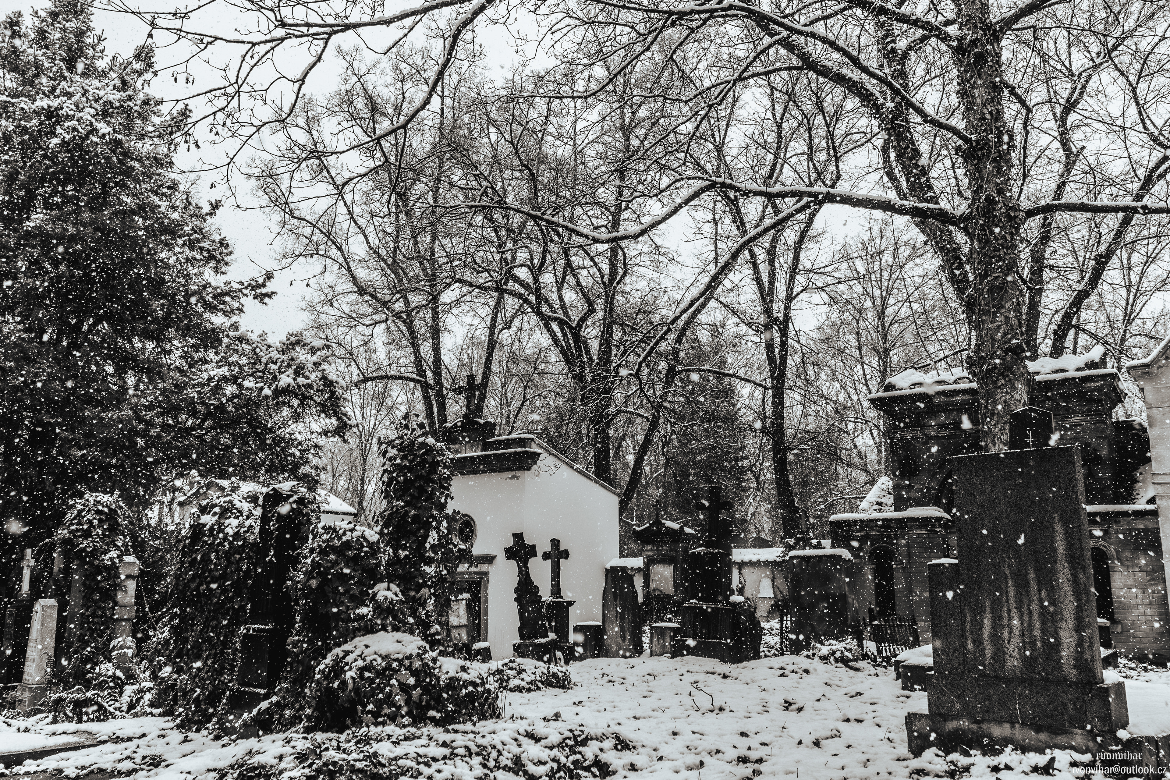 Olšanské hřbitovy (Olšany Cemetery, 26.11.25)