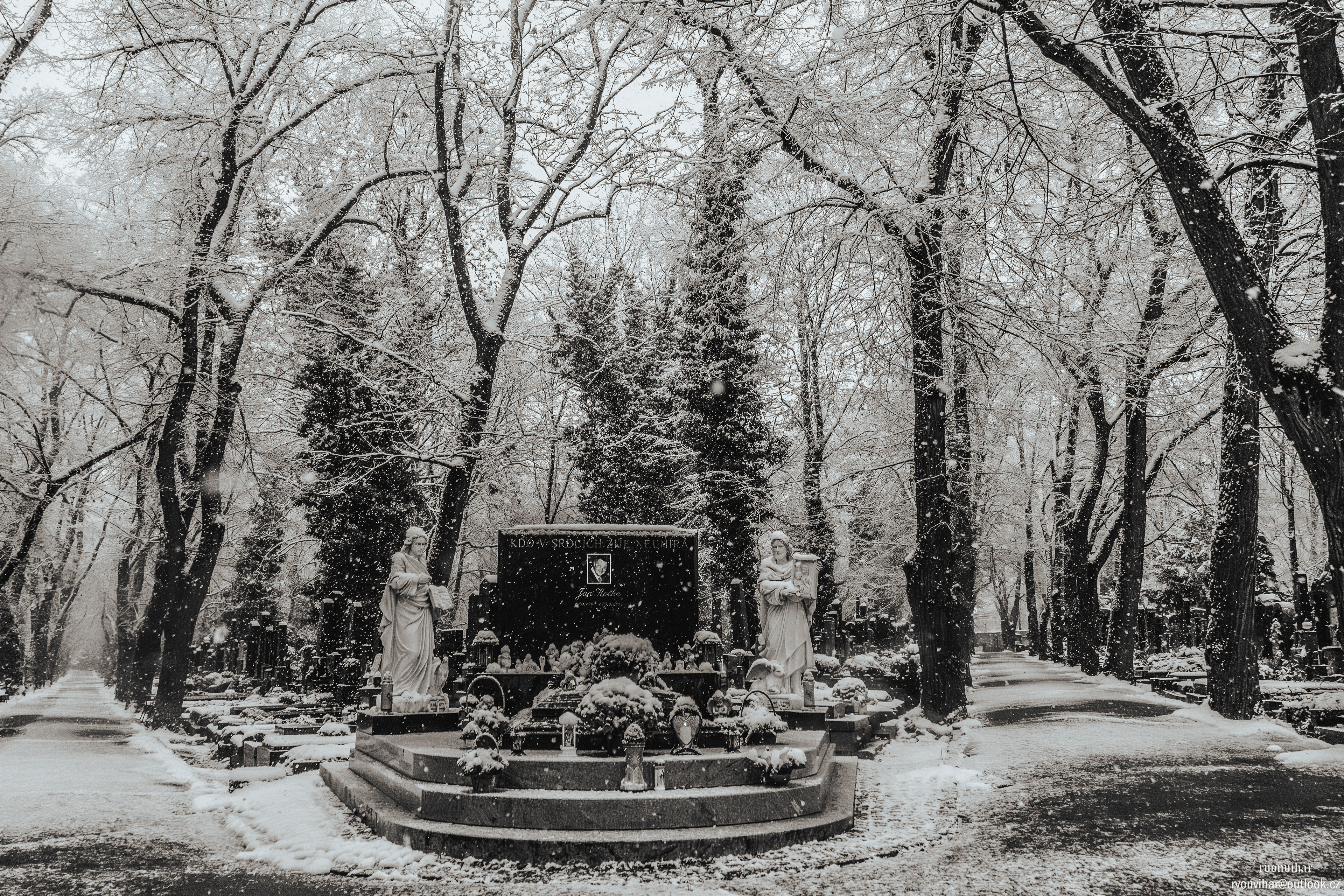 Olšanské hřbitovy (Olšany Cemetery, 26.11.25)