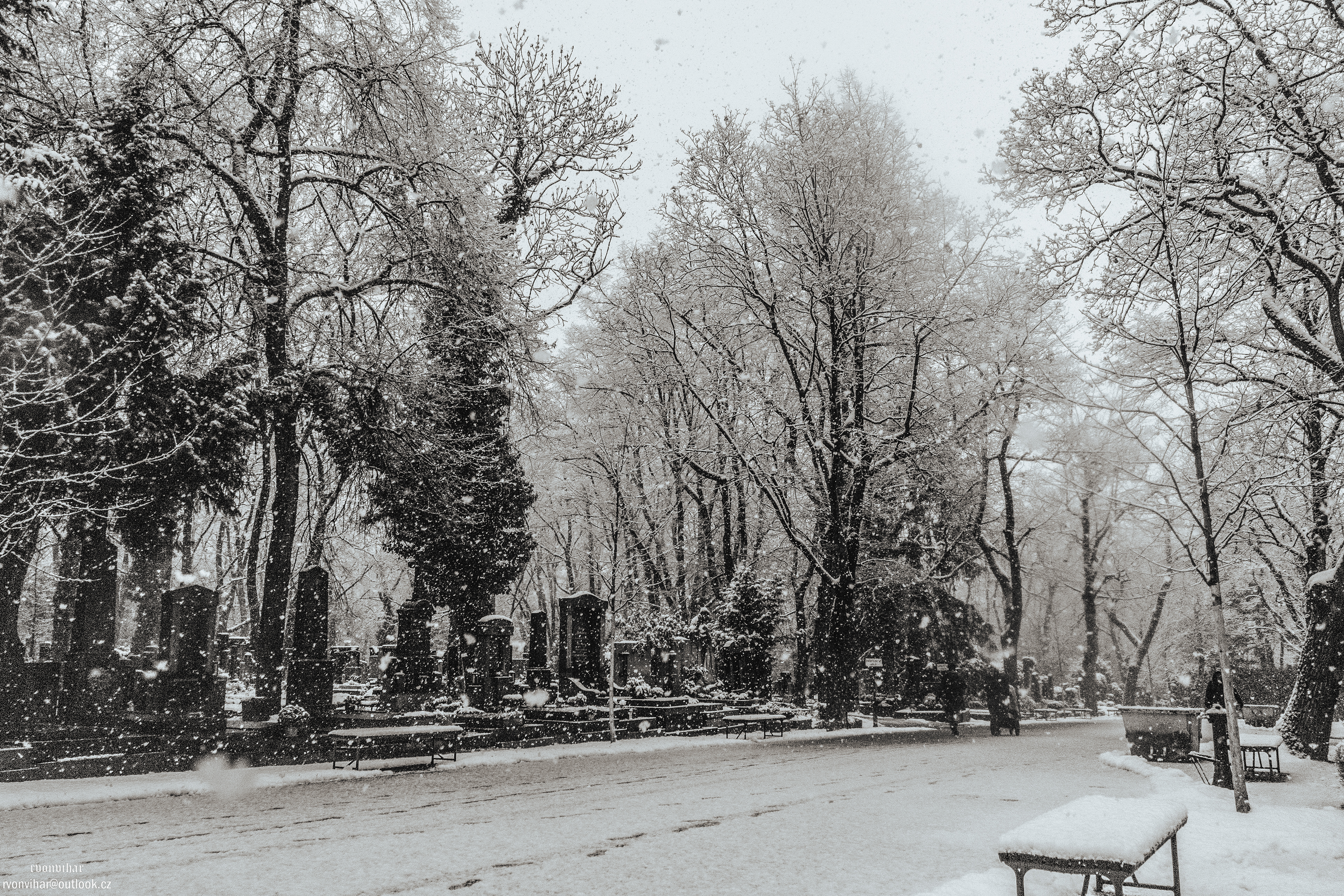 Olšanské hřbitovy (Olšany Cemetery, 26.11.25)