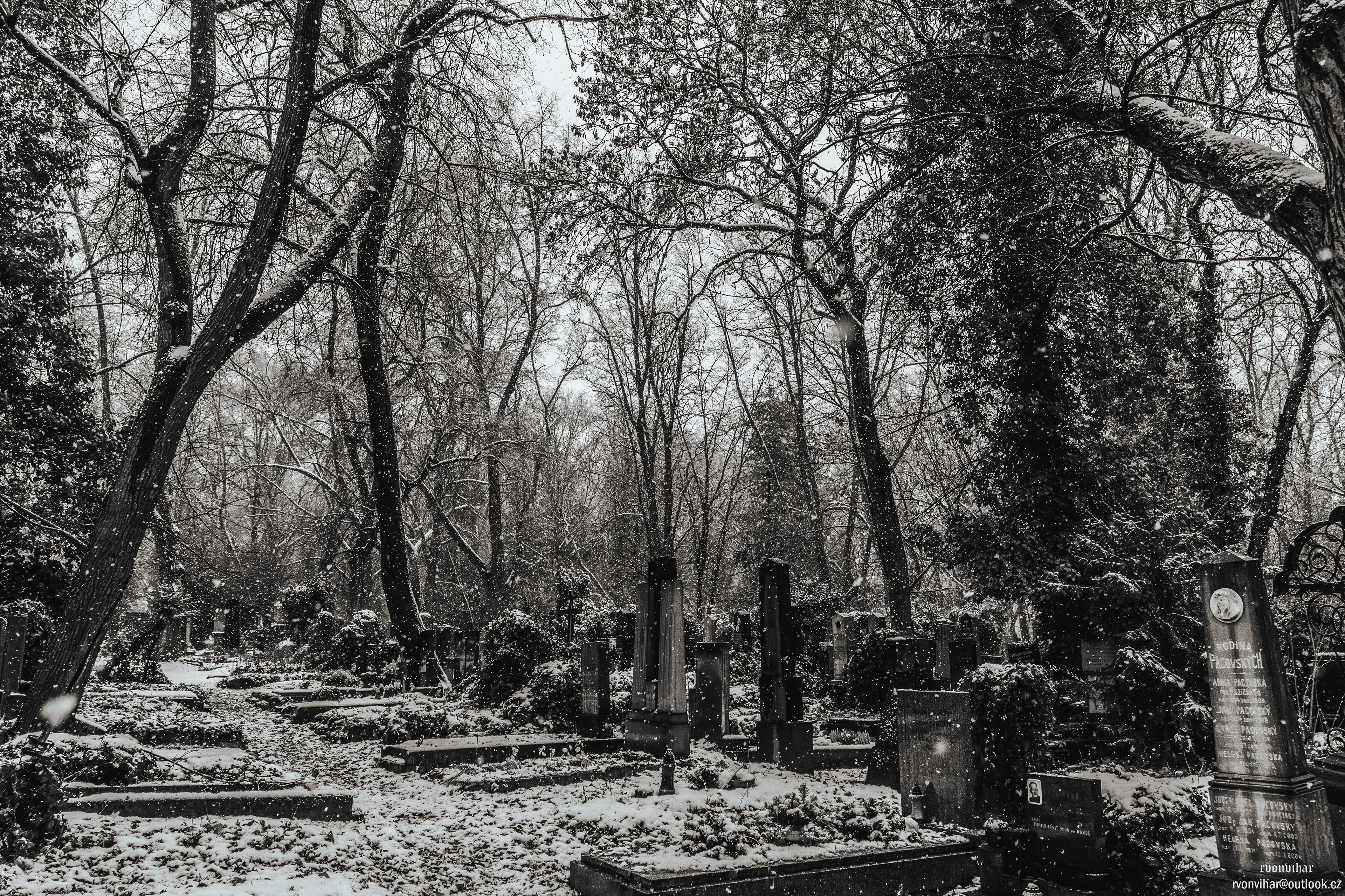 Olšanské hřbitovy (Olšany Cemetery, 26.11.25)