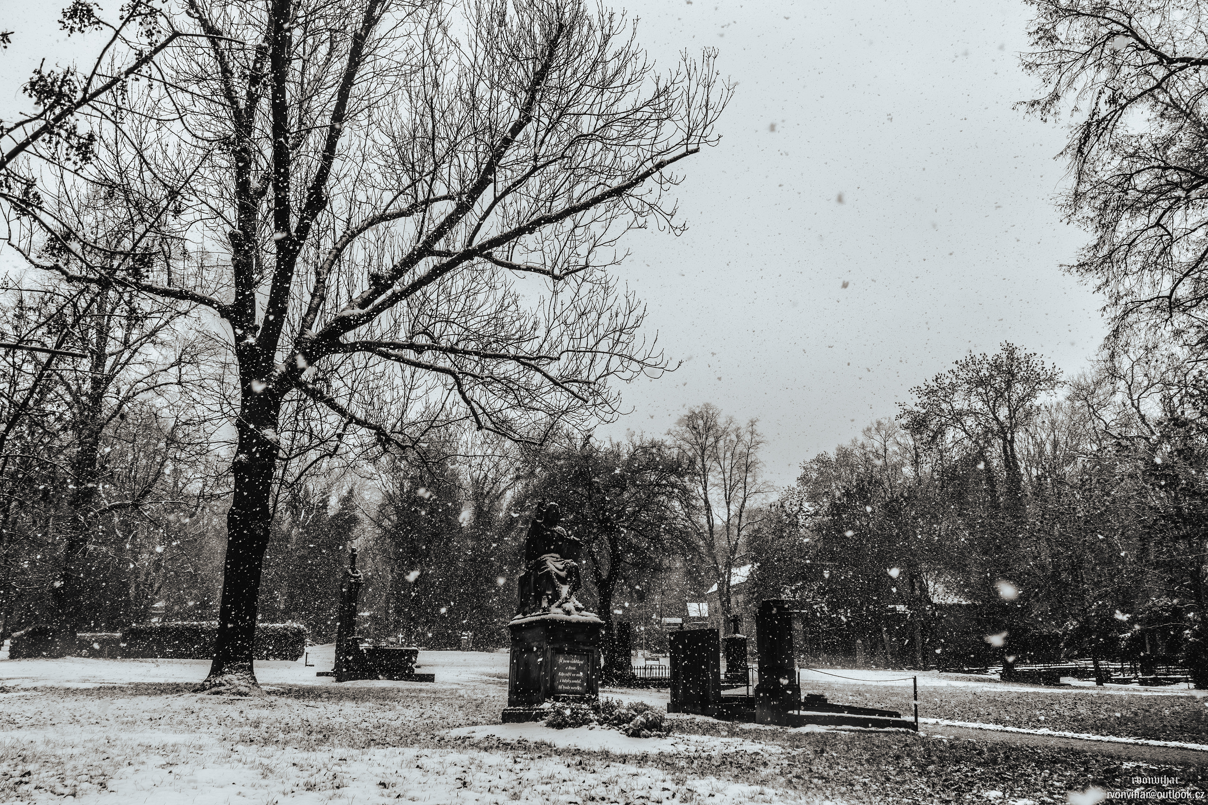 Olšanské hřbitovy (Olšany Cemetery, 26.11.25)