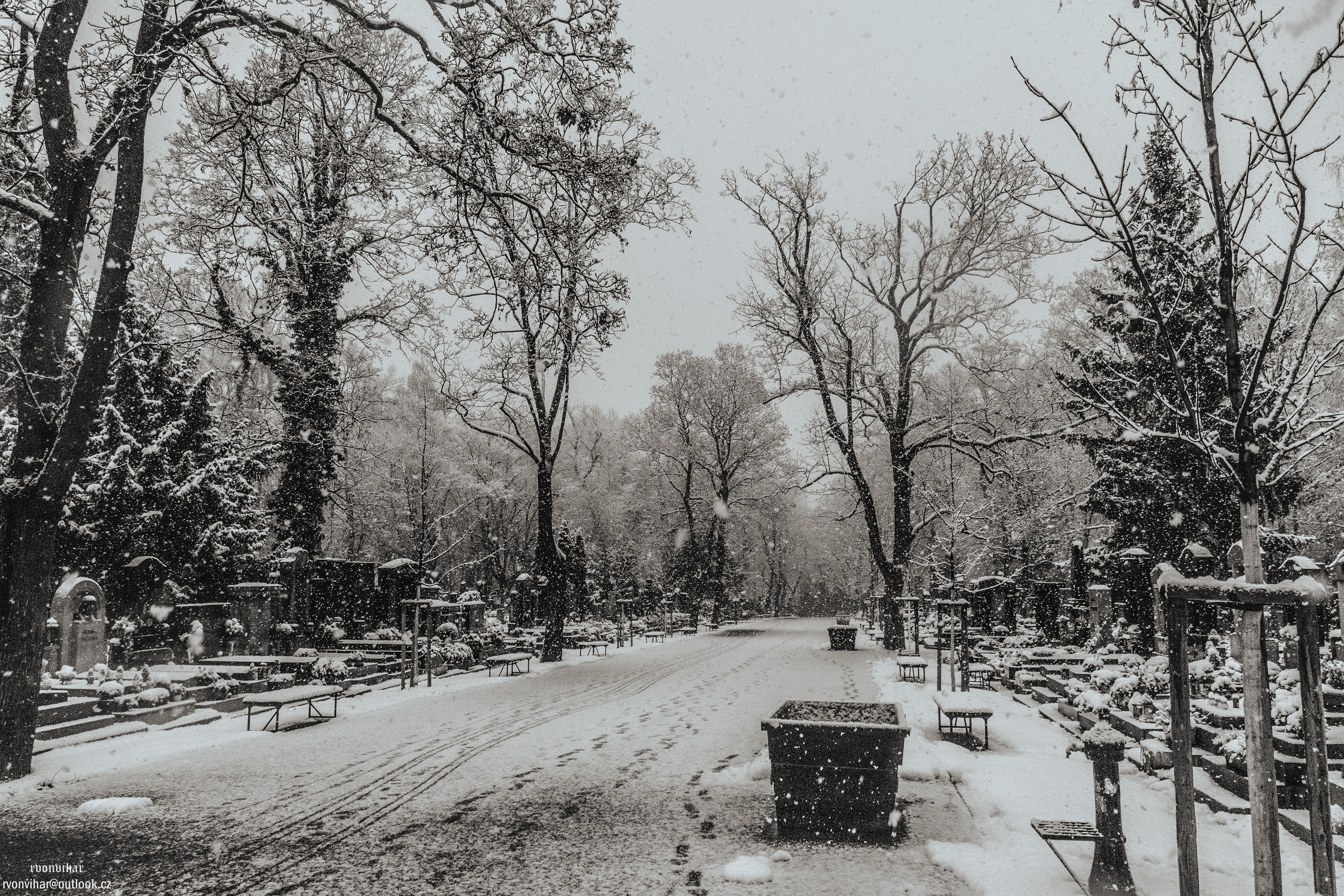 Olšanské hřbitovy (Olšany Cemetery, 26.11.25)