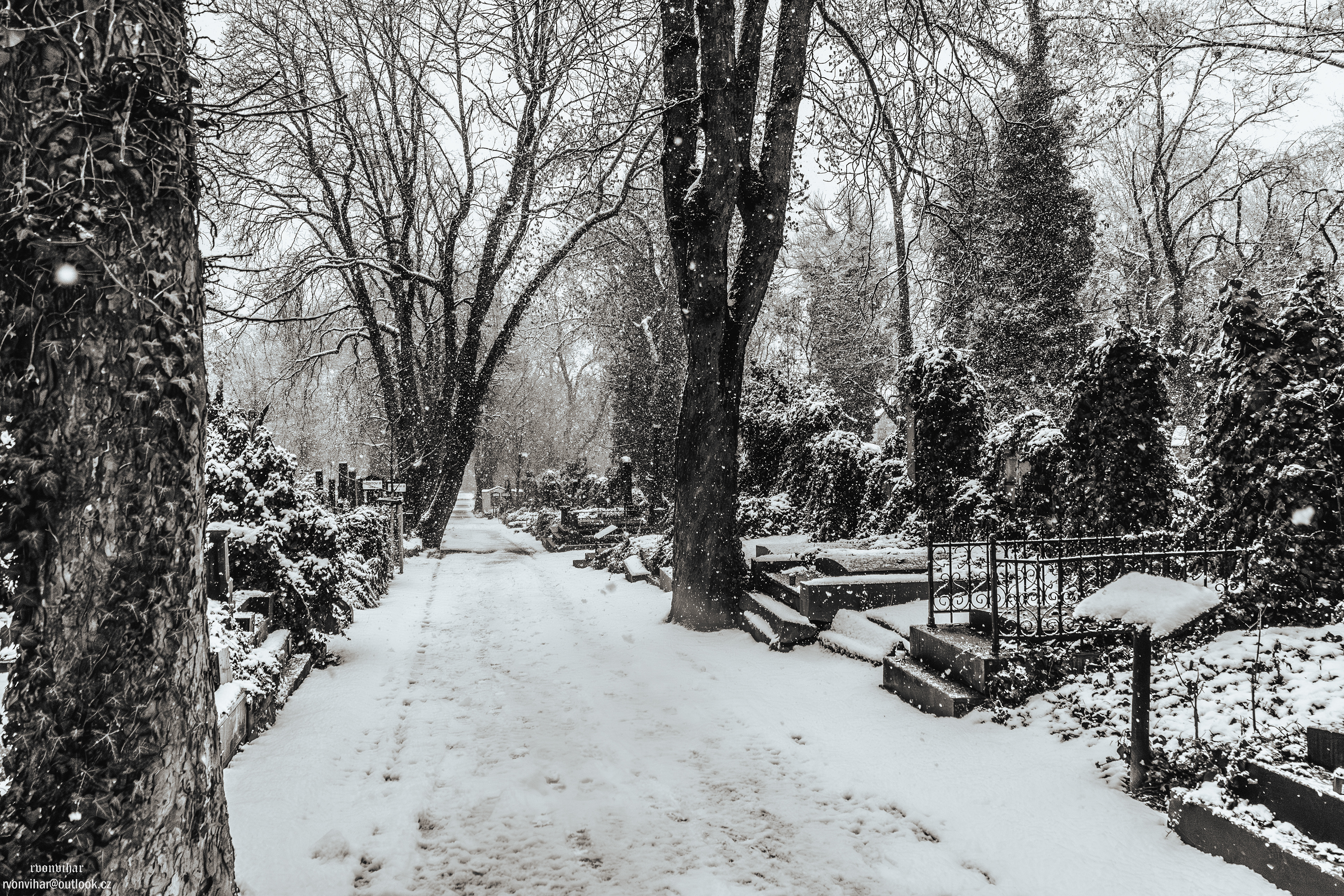Olšanské hřbitovy (Olšany Cemetery, 26.11.25)