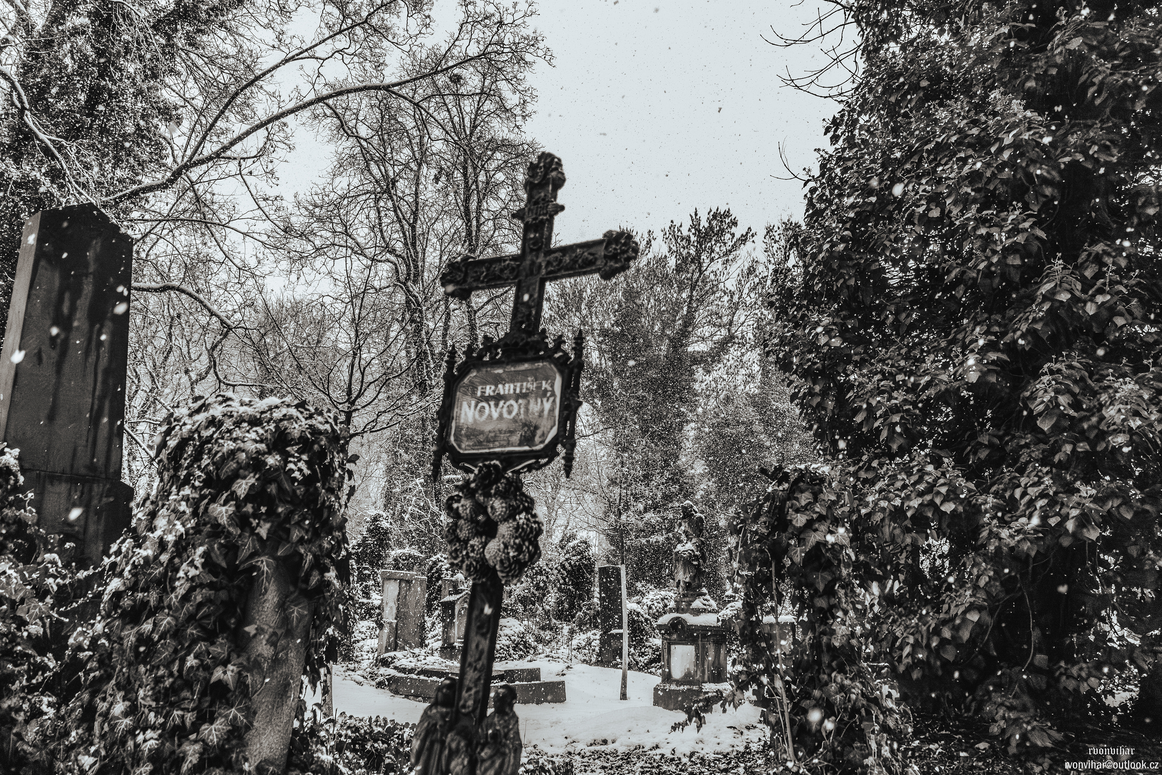 Olšanské hřbitovy (Olšany Cemetery, 26.11.25)