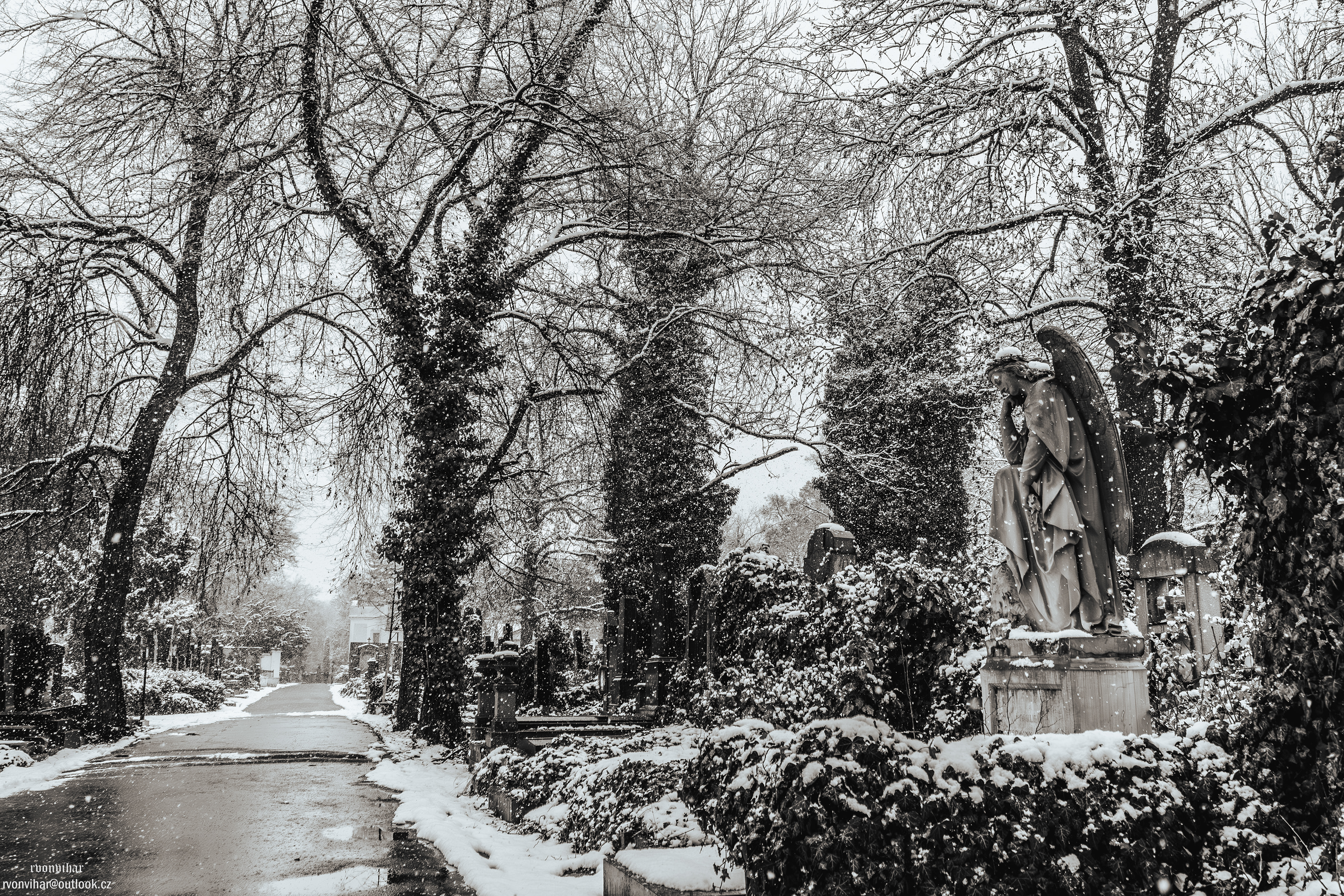 Olšanské hřbitovy (Olšany Cemetery, 26.11.25)