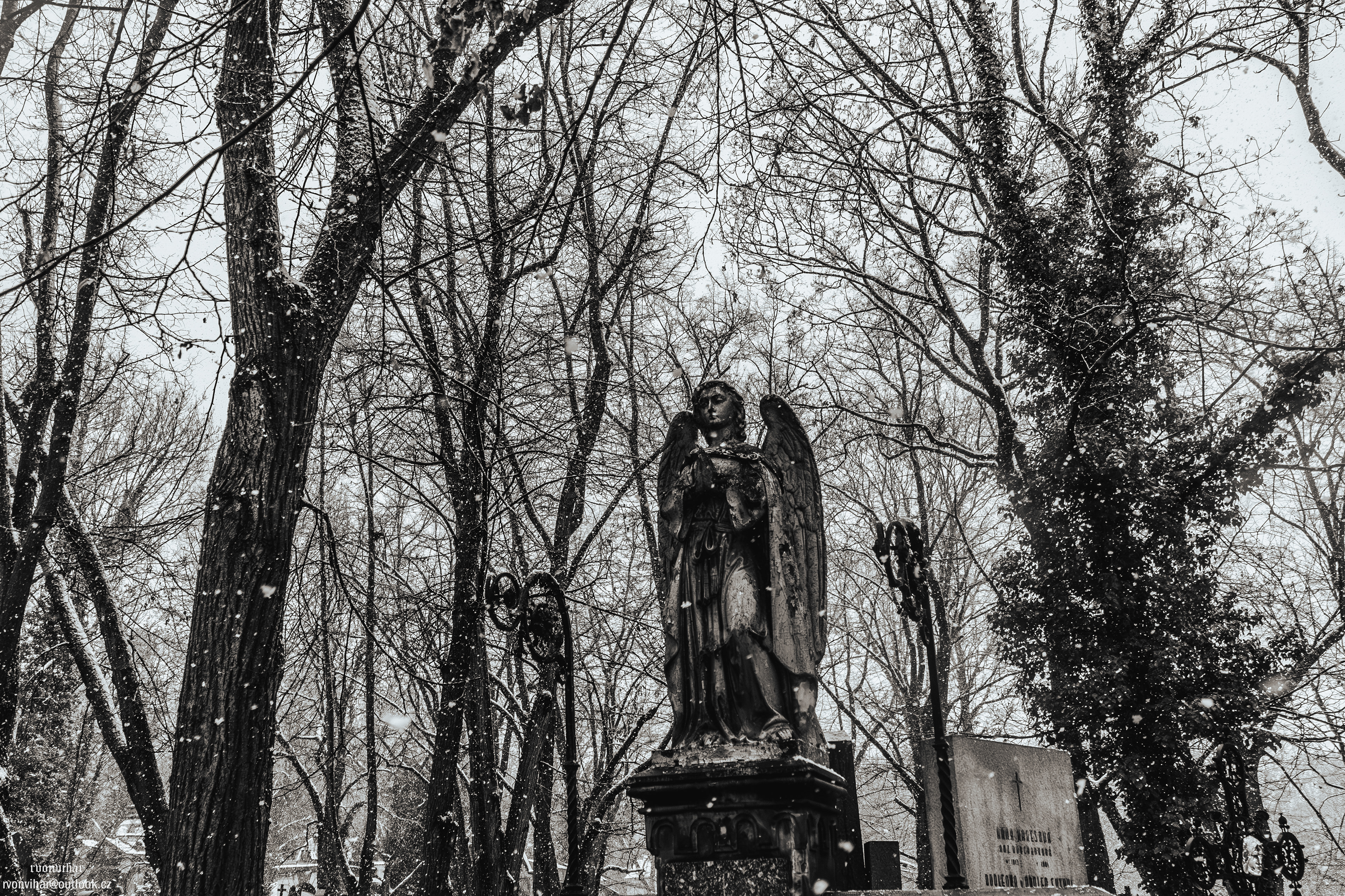 Olšanské hřbitovy (Olšany Cemetery, 26.11.25)
