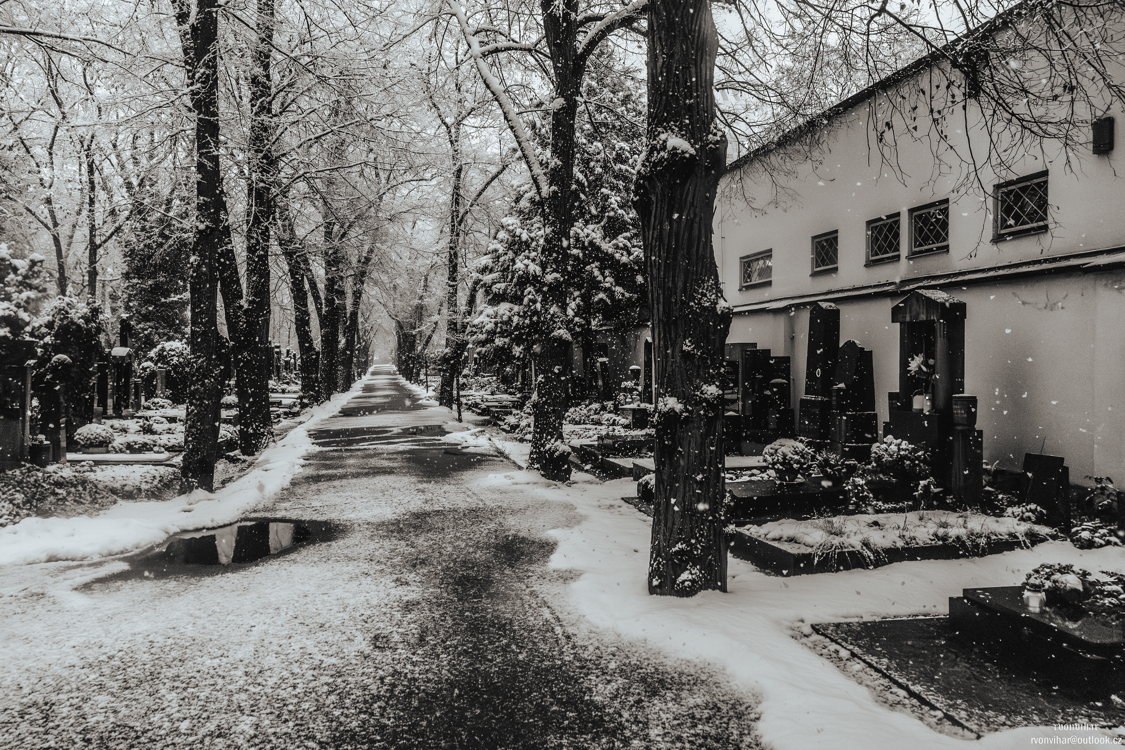 Olšanské hřbitovy (Olšany Cemetery, 26.11.25)