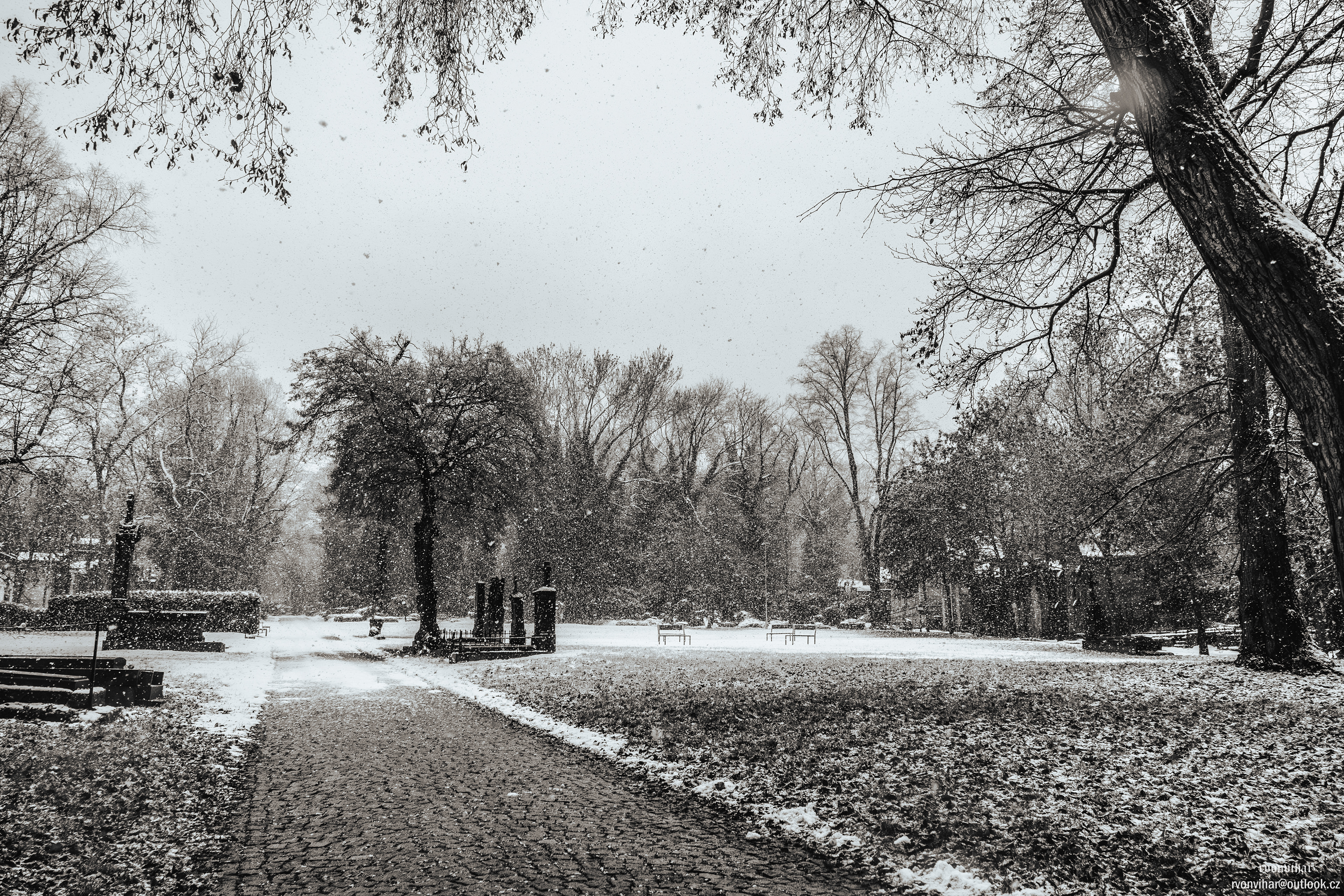 Olšanské hřbitovy (Olšany Cemetery, 26.11.25)