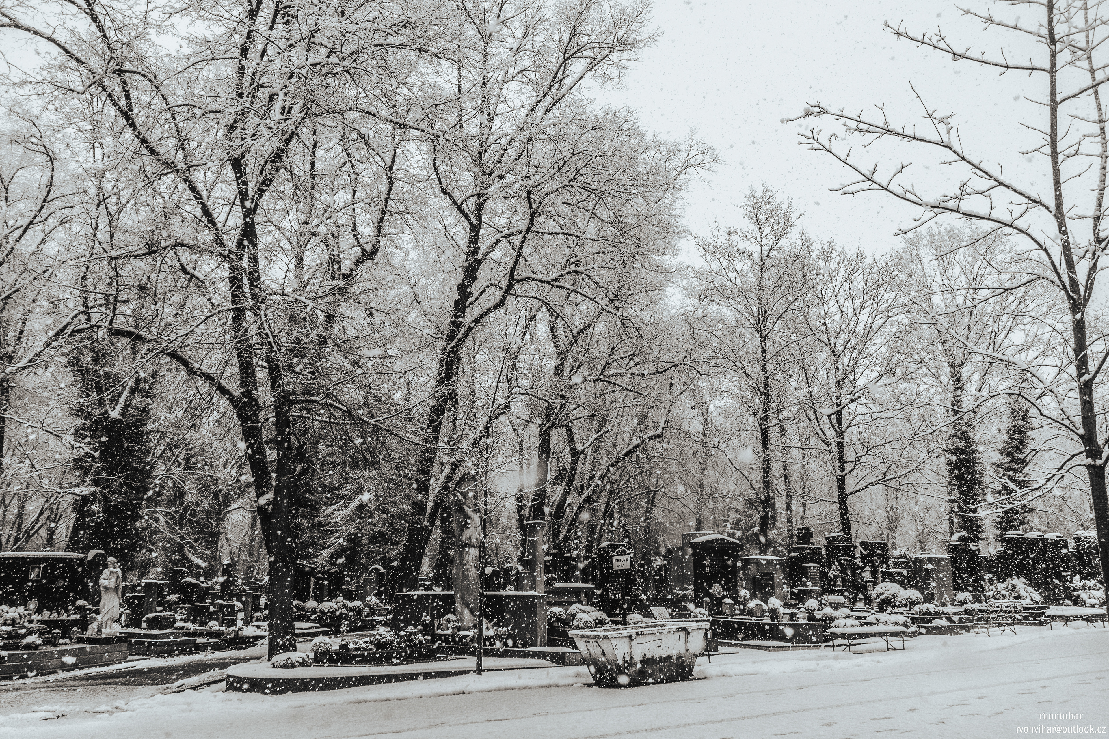 Olšanské hřbitovy (Olšany Cemetery, 26.11.25)