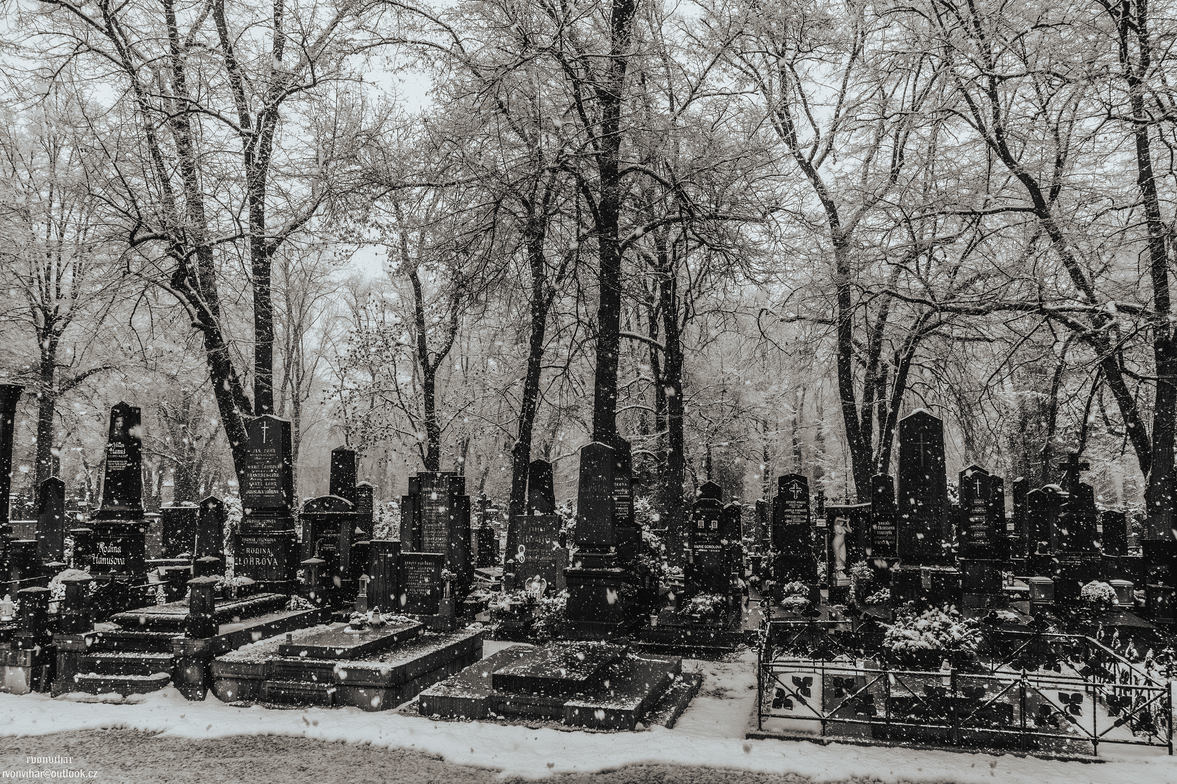 Olšanské hřbitovy (Olšany Cemetery, 26.11.25)