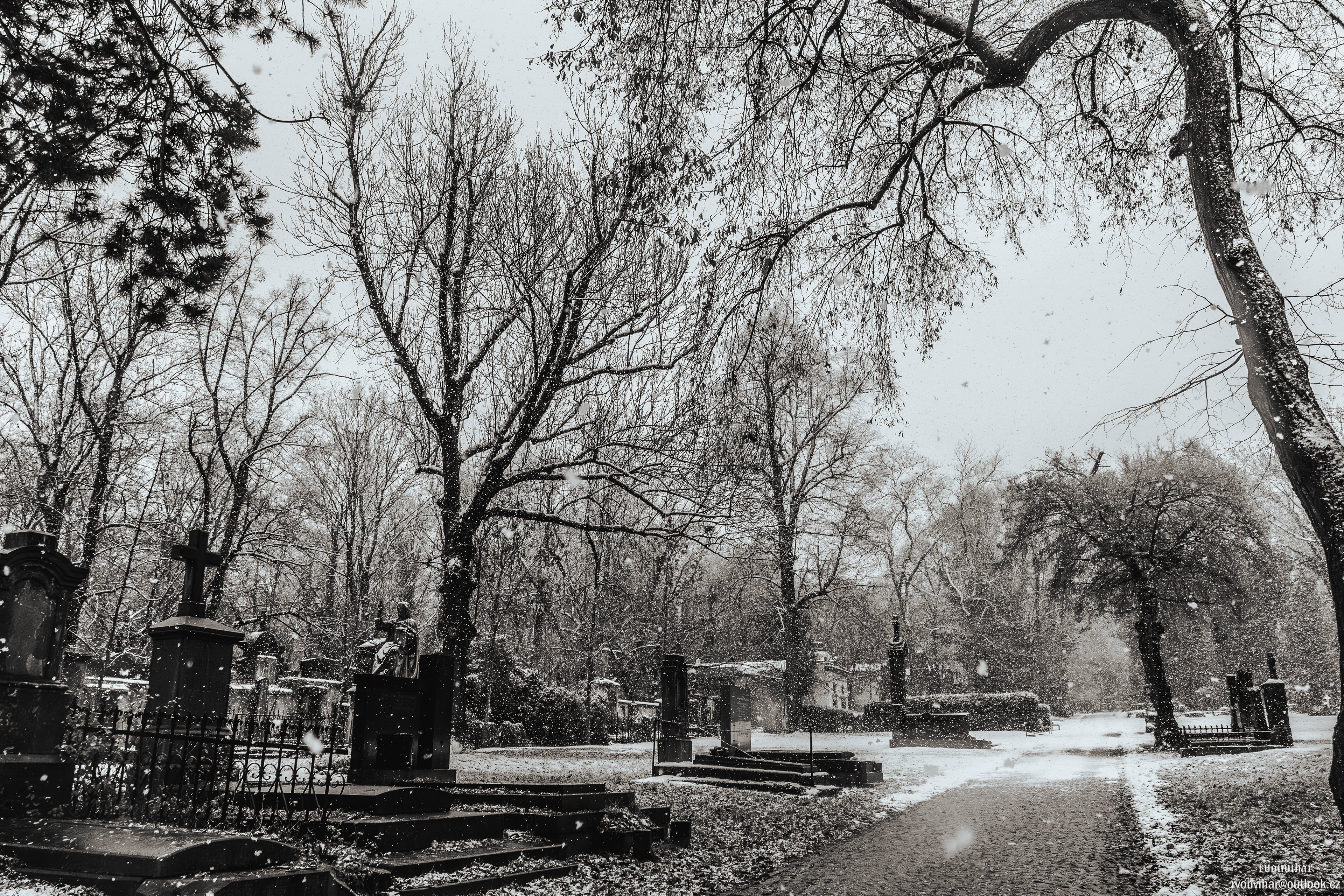 Olšanské hřbitovy (Olšany Cemetery, 26.11.25)