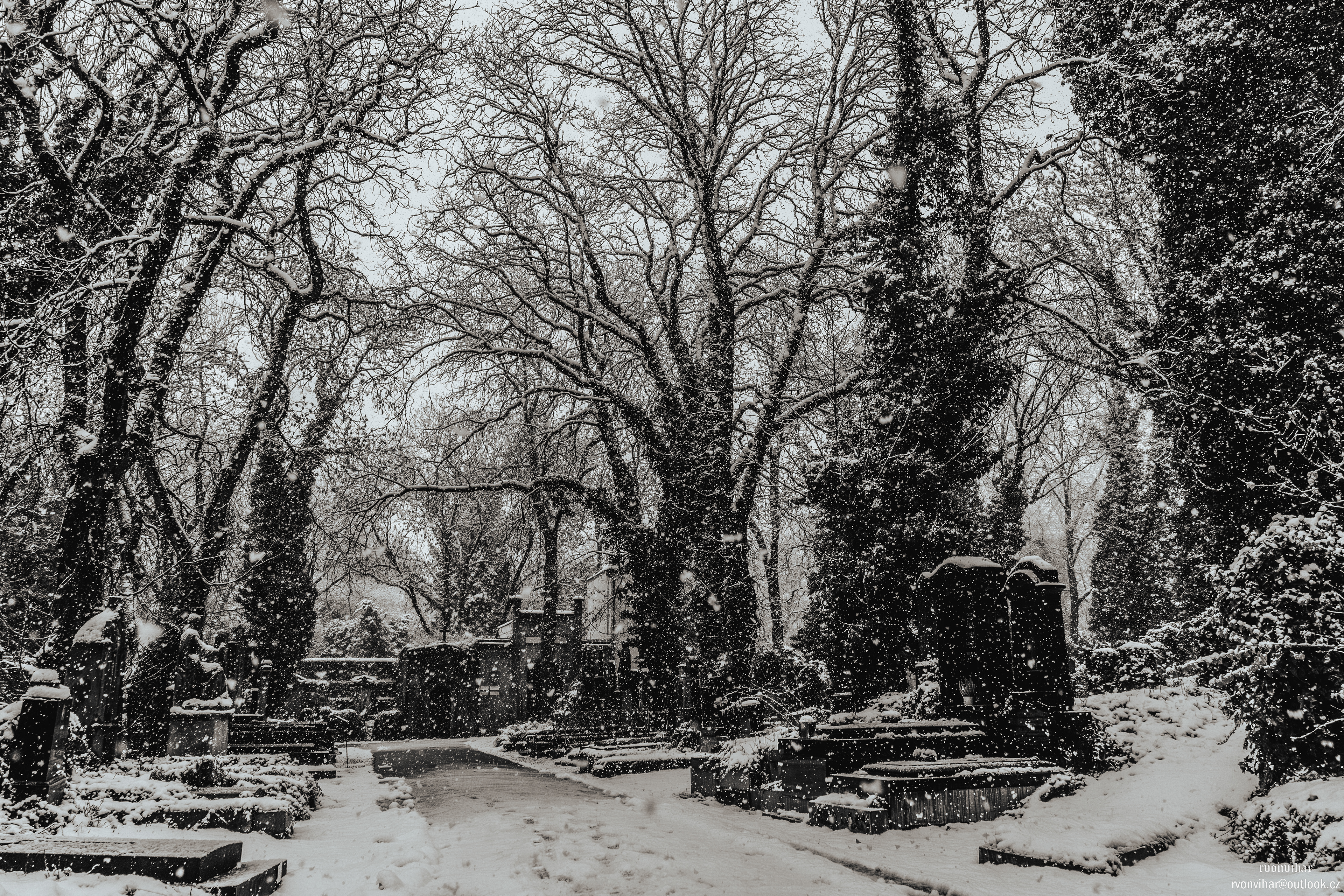 Olšanské hřbitovy (Olšany Cemetery, 26.11.25)