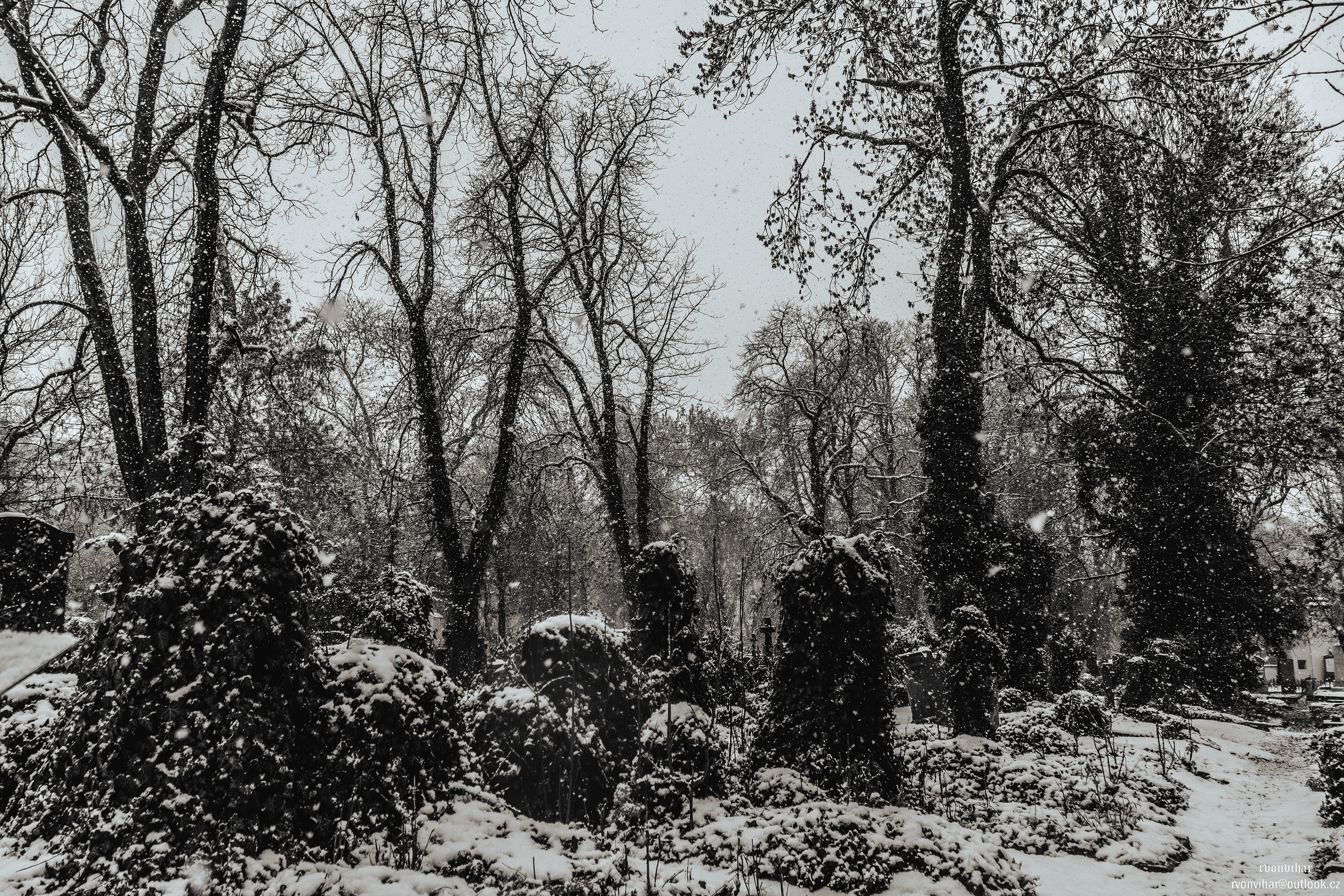 Olšanské hřbitovy (Olšany Cemetery, 26.11.25)