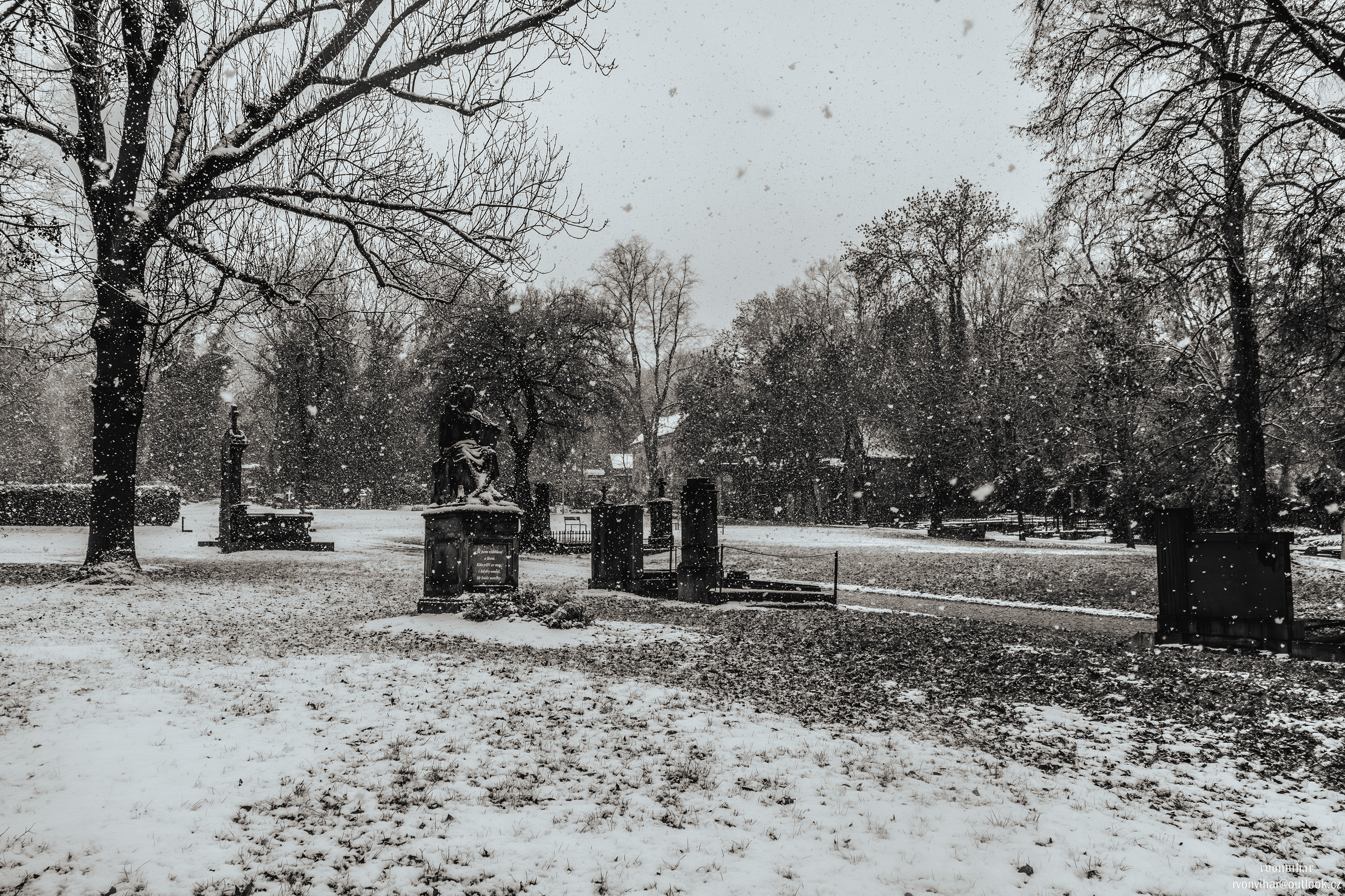 Olšanské hřbitovy (Olšany Cemetery, 26.11.25)