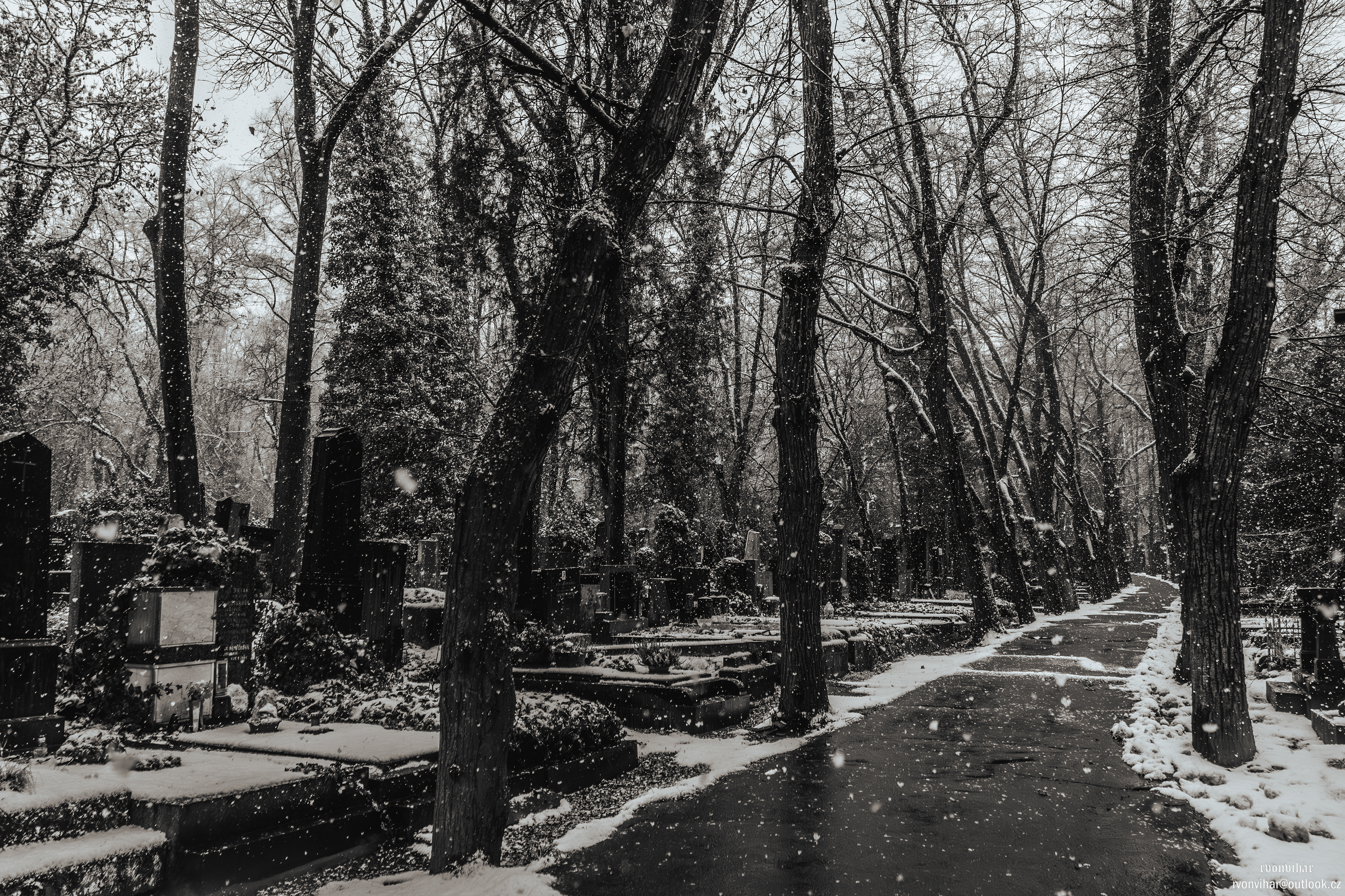 Olšanské hřbitovy (Olšany Cemetery, 26.11.25)