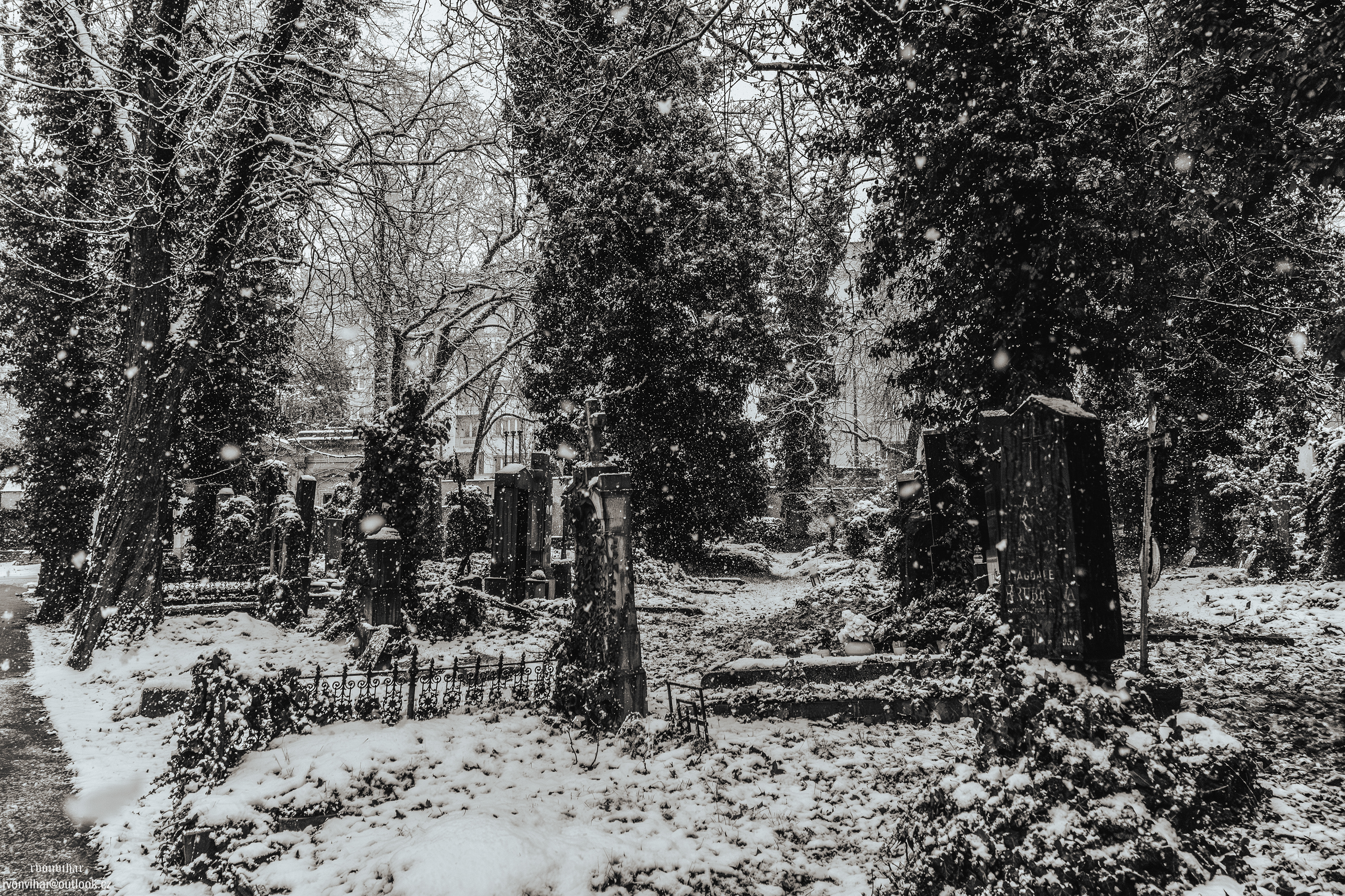 Olšanské hřbitovy (Olšany Cemetery, 26.11.25)