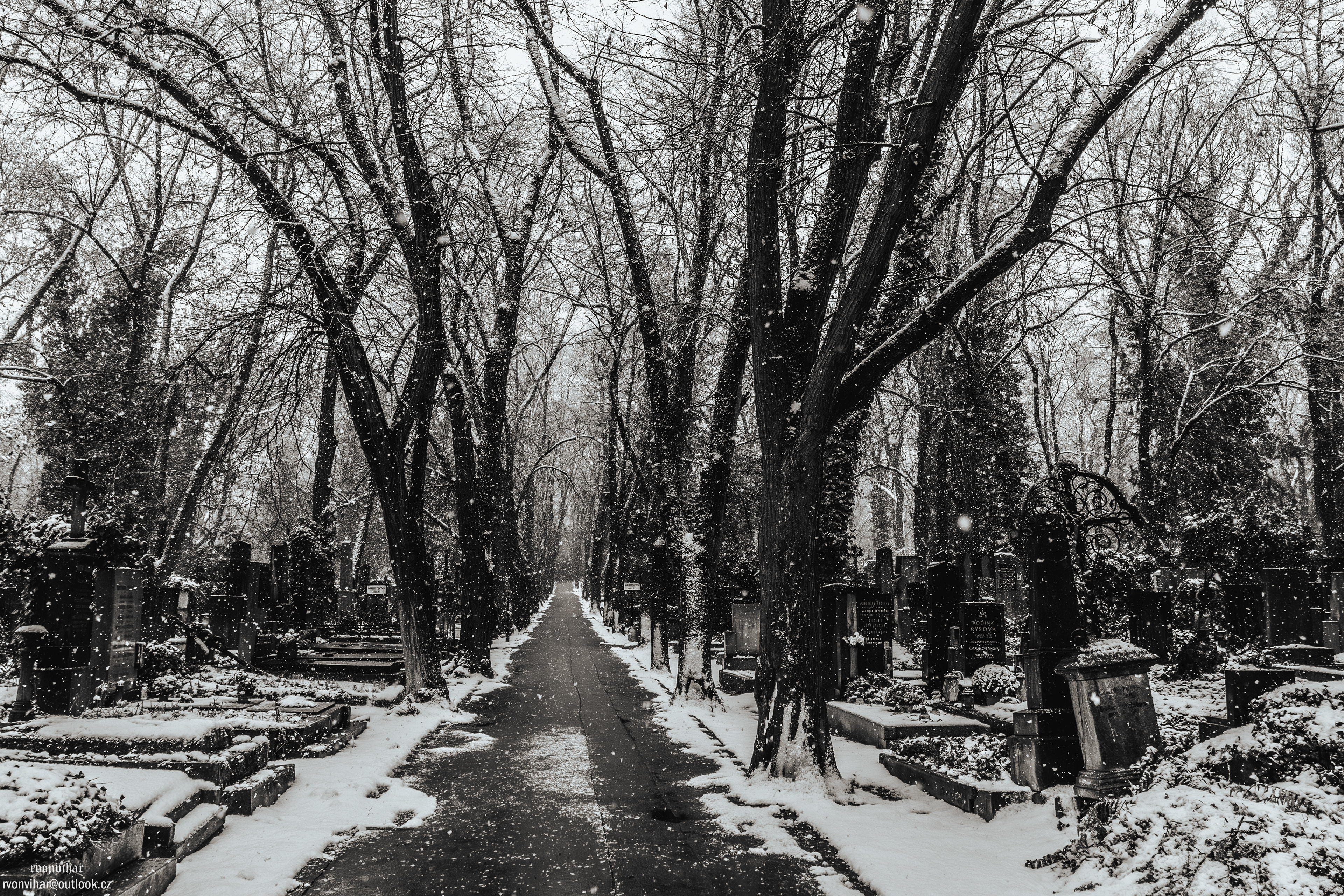 Olšanské hřbitovy (Olšany Cemetery, 26.11.25)