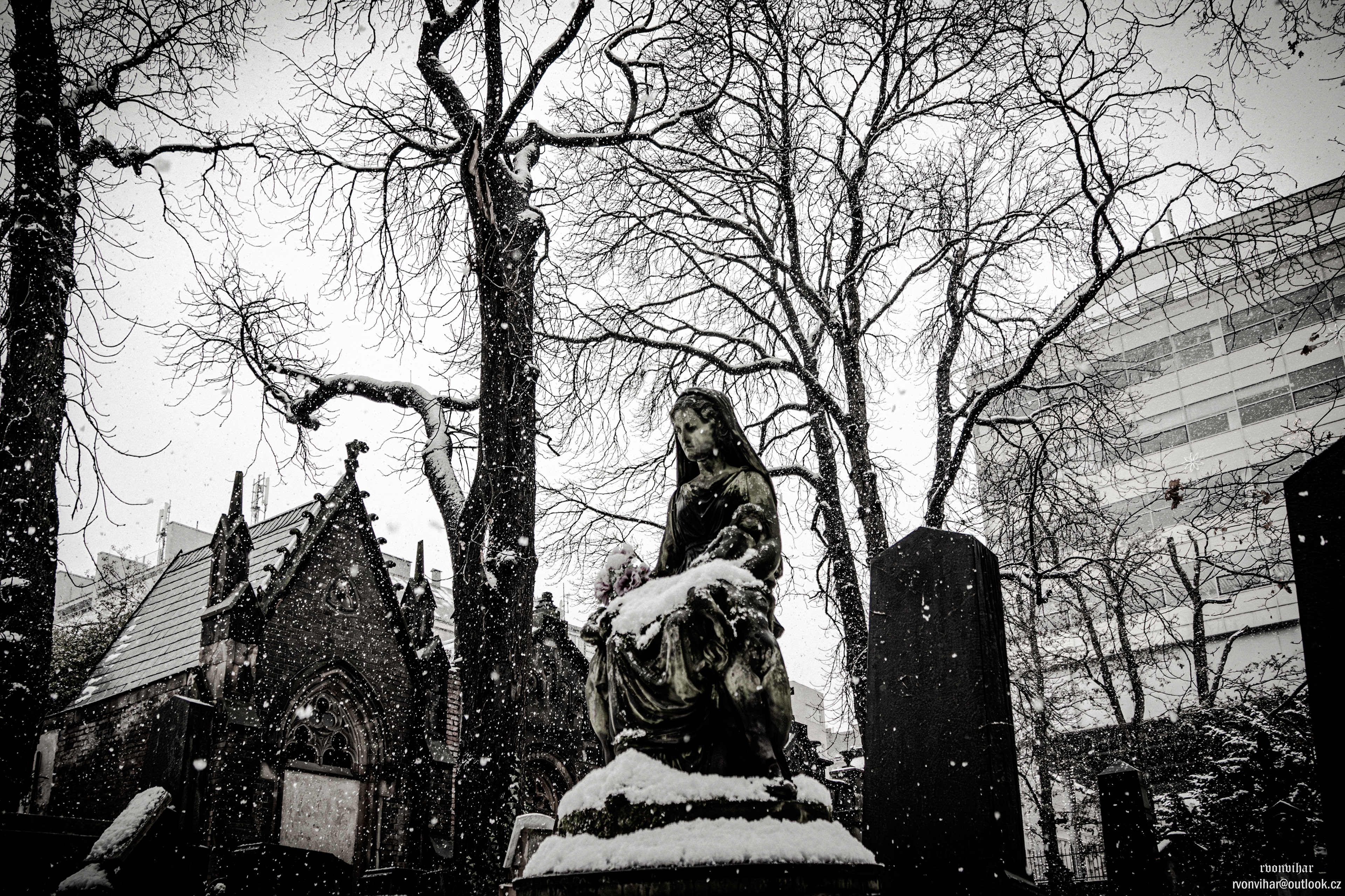 Olšanské hřbitovy (Olšany Cemetery, 26.11.25)