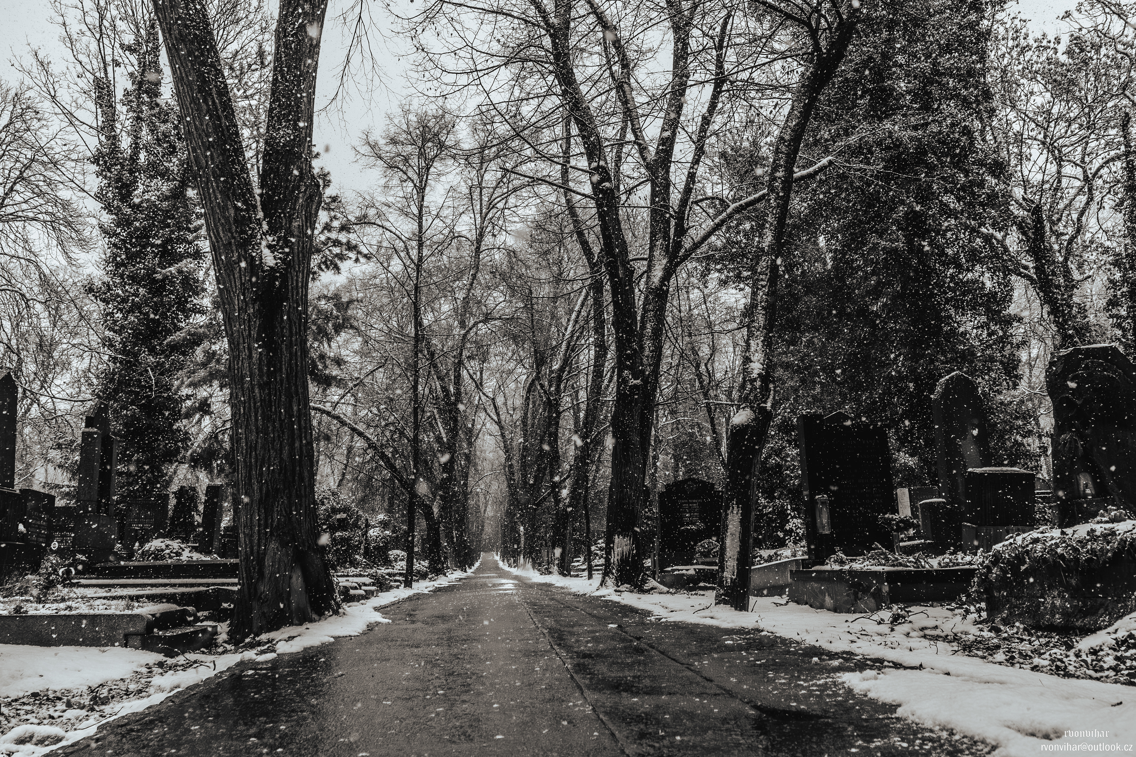 Olšanské hřbitovy (Olšany Cemetery, 26.11.25)