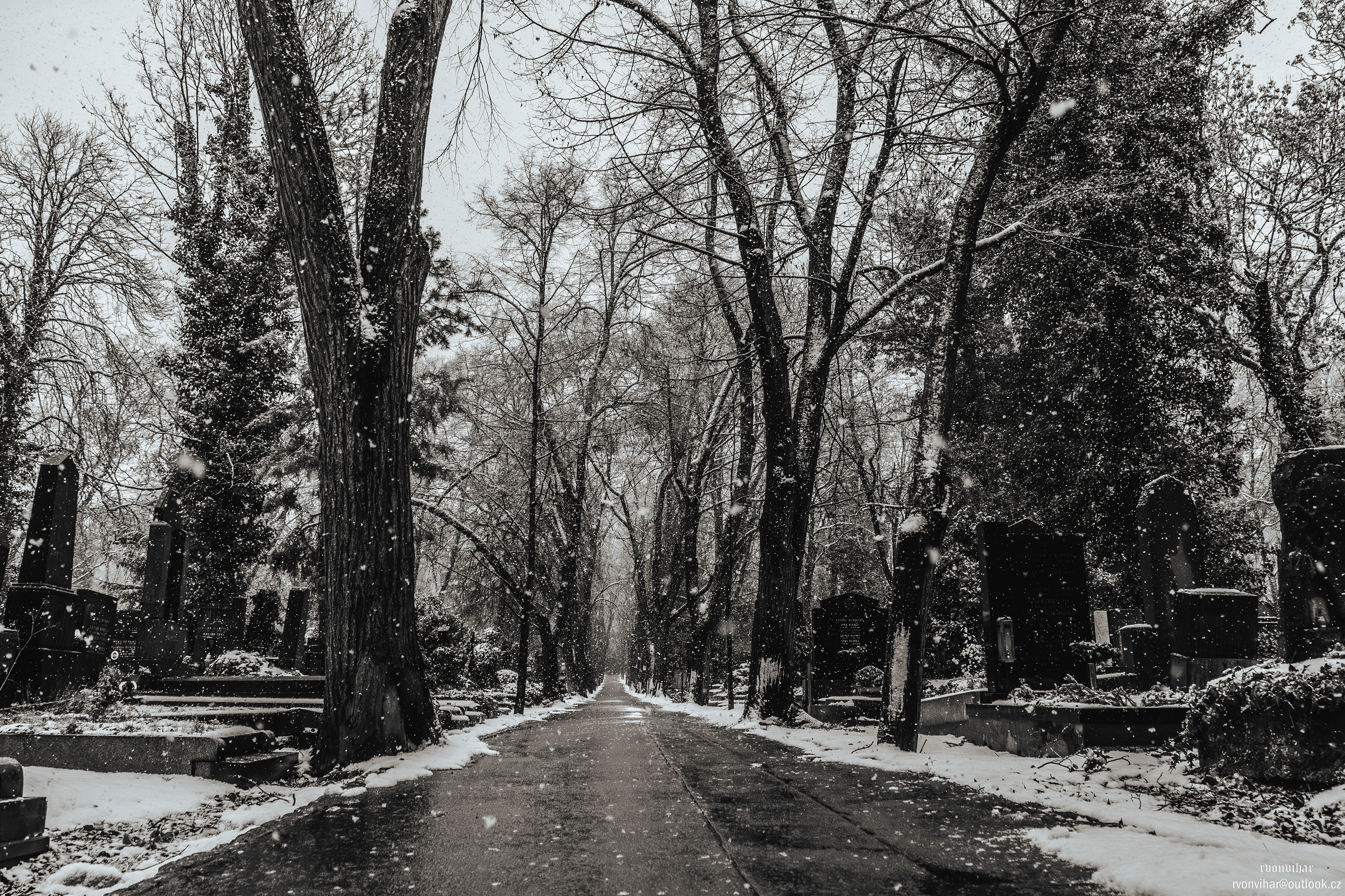 Olšanské hřbitovy (Olšany Cemetery, 26.11.25)