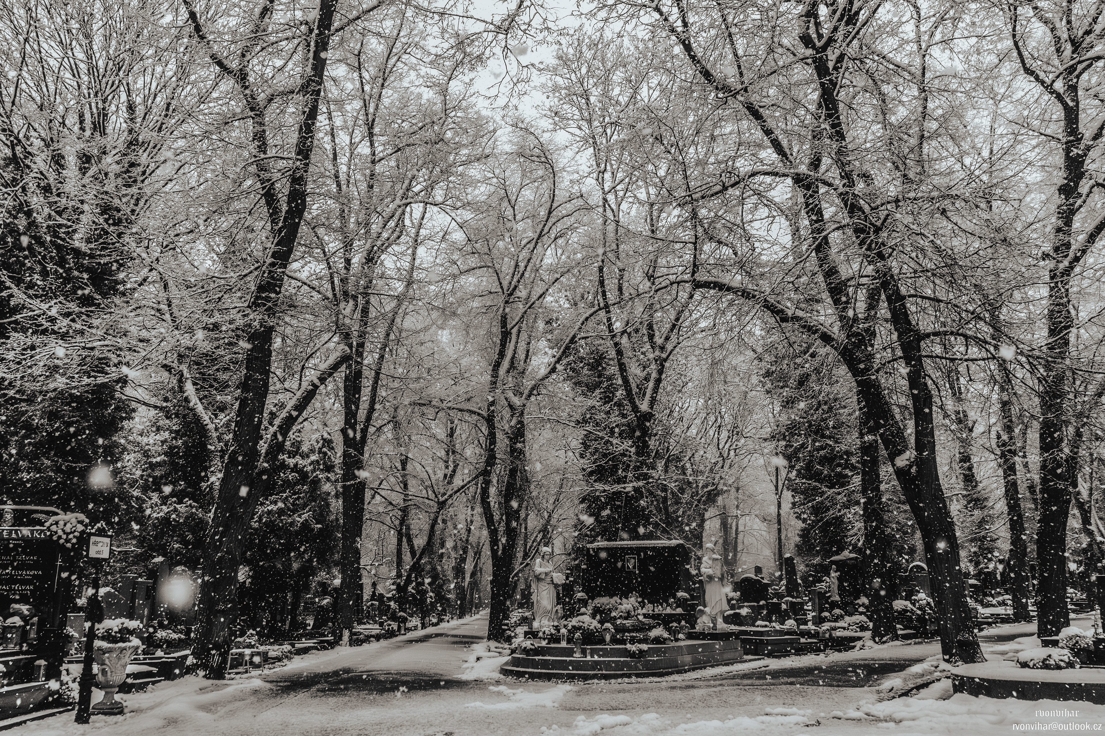 Olšanské hřbitovy (Olšany Cemetery, 26.11.25)