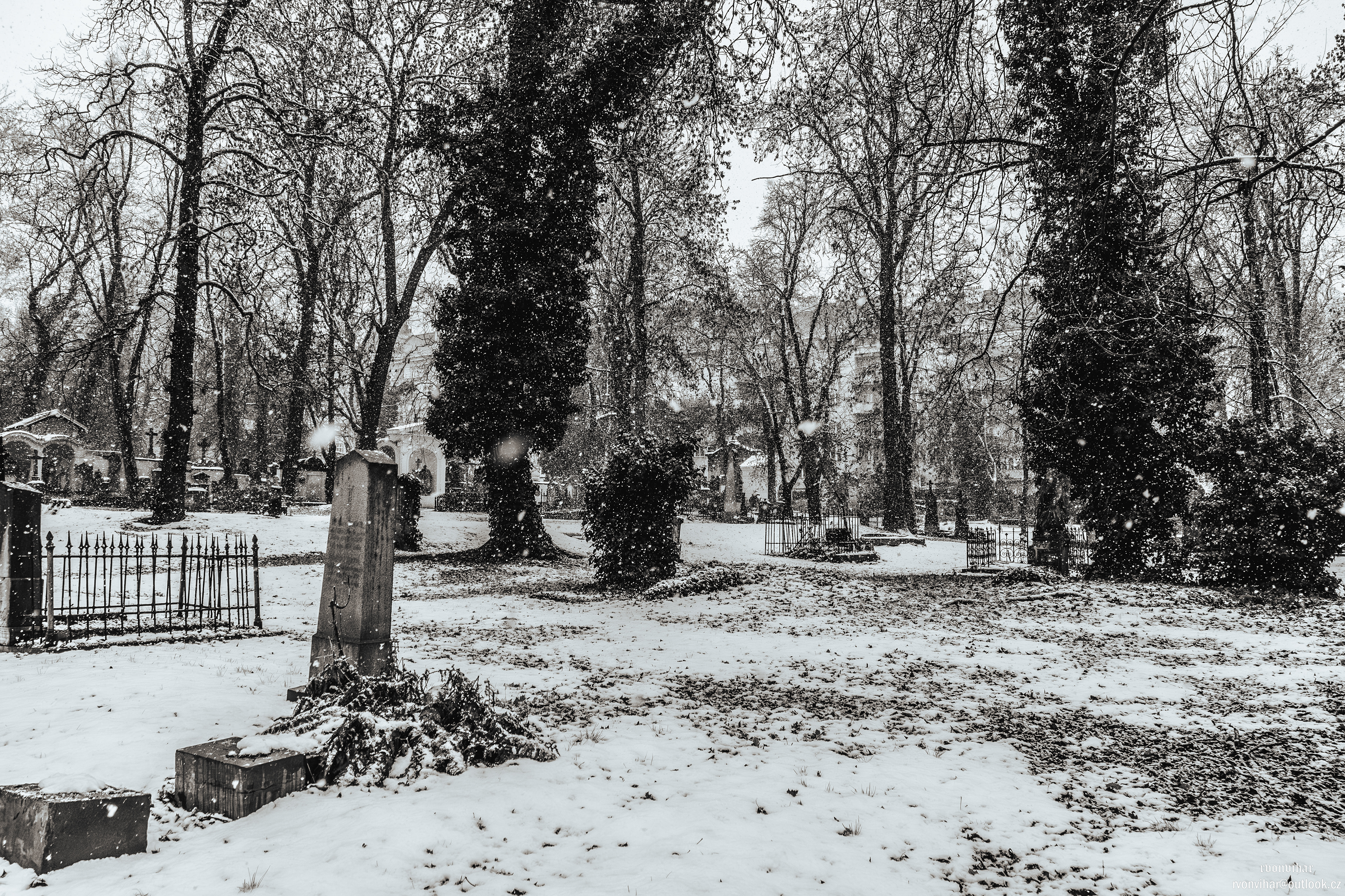 Olšanské hřbitovy (Olšany Cemetery, 26.11.25)