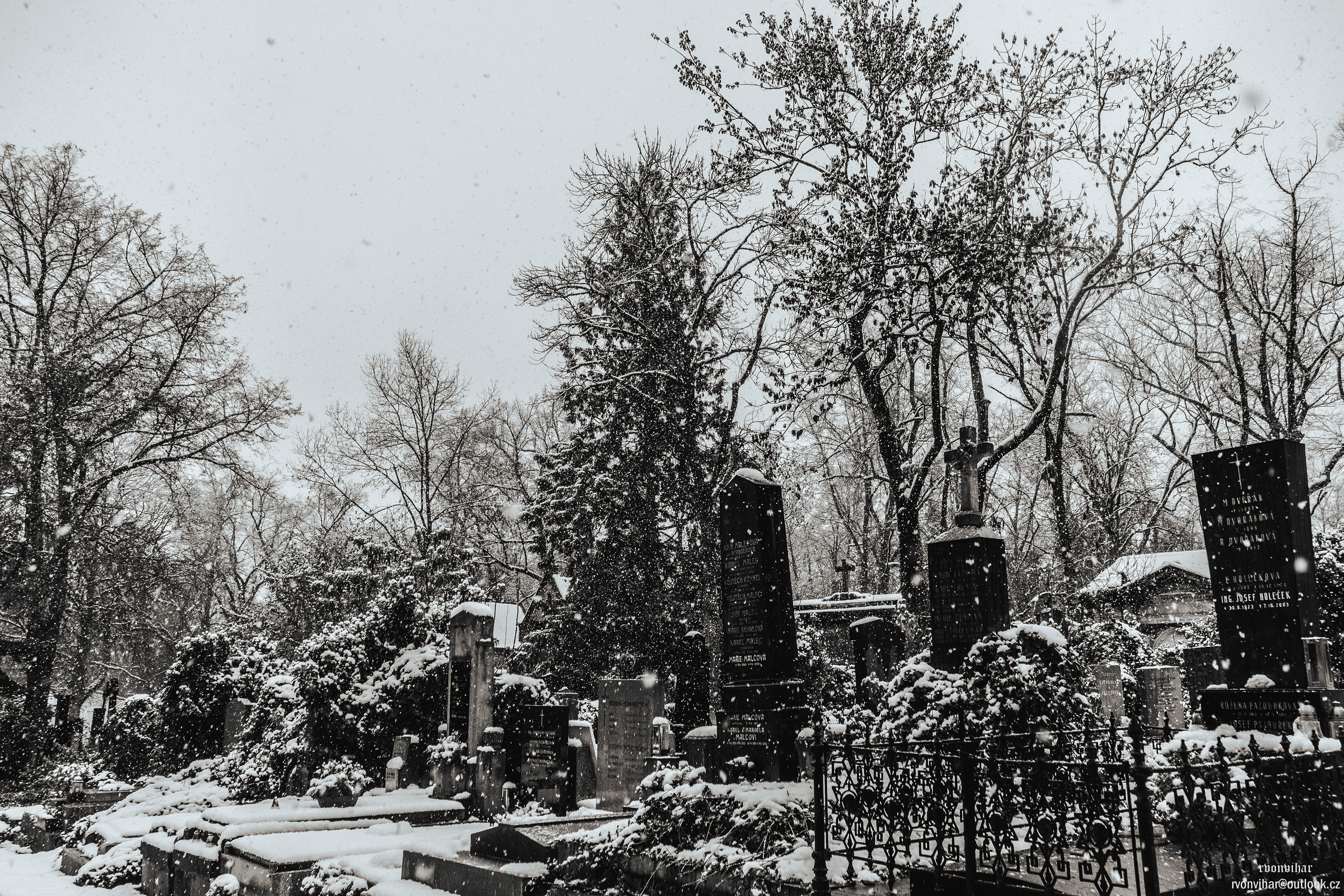 Olšanské hřbitovy (Olšany Cemetery, 26.11.25)