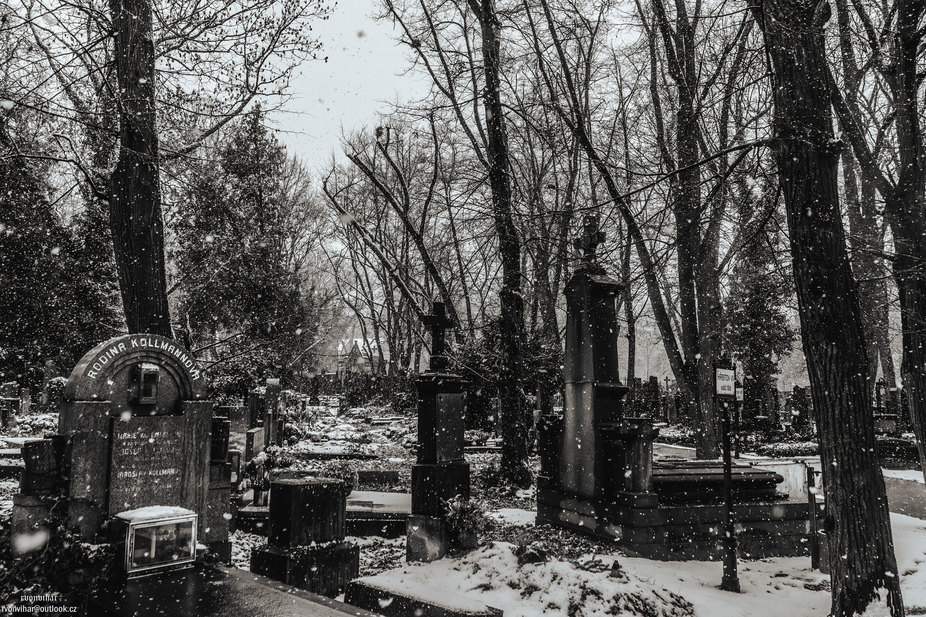 Olšanské hřbitovy (Olšany Cemetery, 26.11.25)