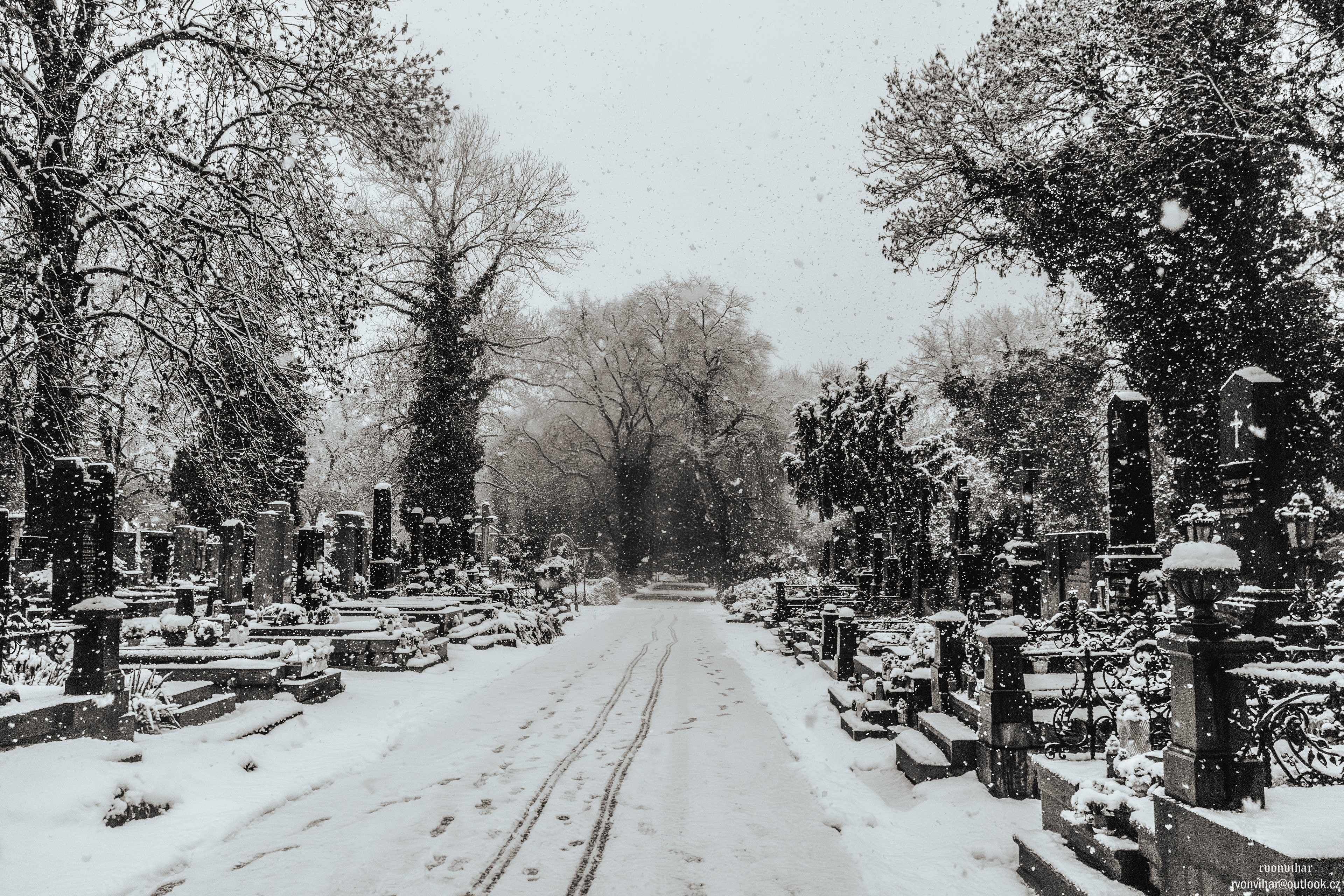 Olšanské hřbitovy (Olšany Cemetery, 26.11.25)